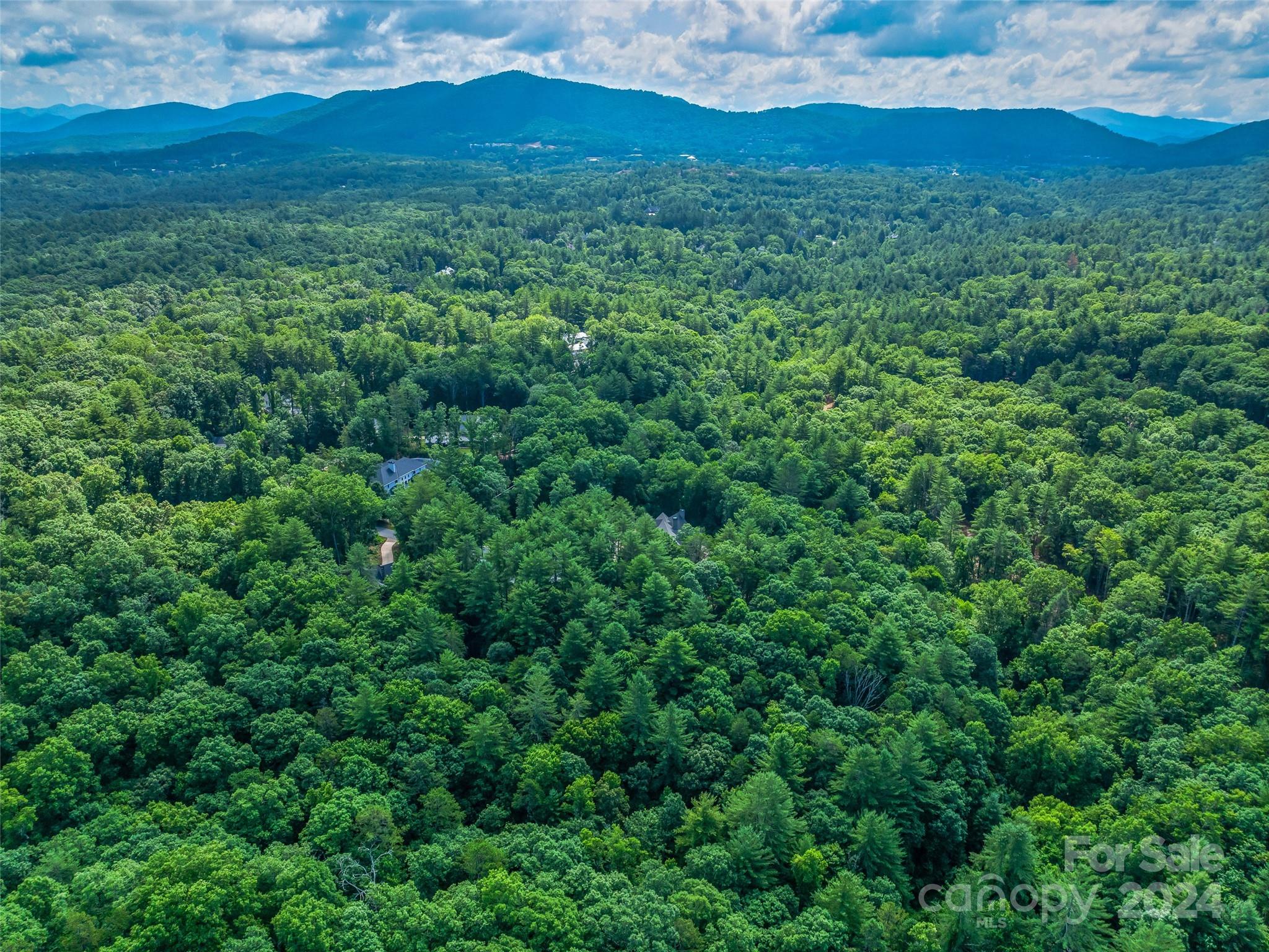 128 Mirehouse Run Asheville NC 28803