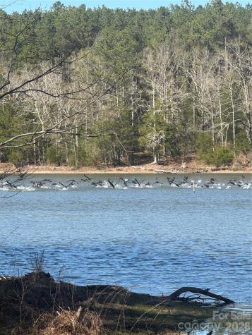 1802 Goings Road Chester SC 29706