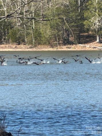 1802 Goings Road Chester SC 29706
