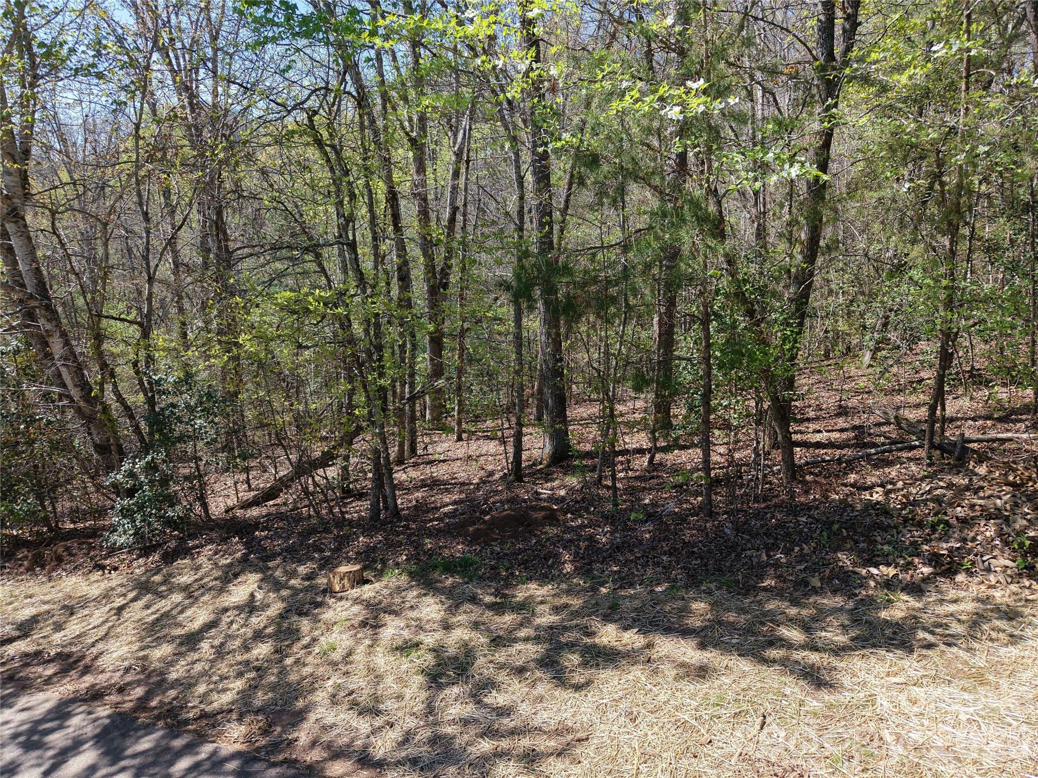 000 Coker Road Hayesville NC 28904