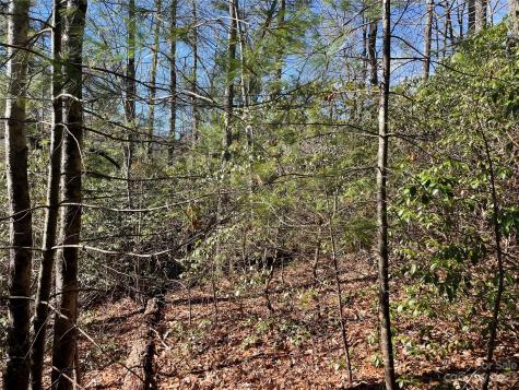 00 Willow Run Lane Zirconia NC 28790