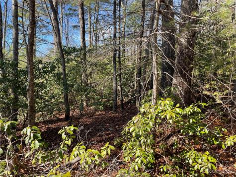 00 Willow Run Lane Zirconia NC 28790