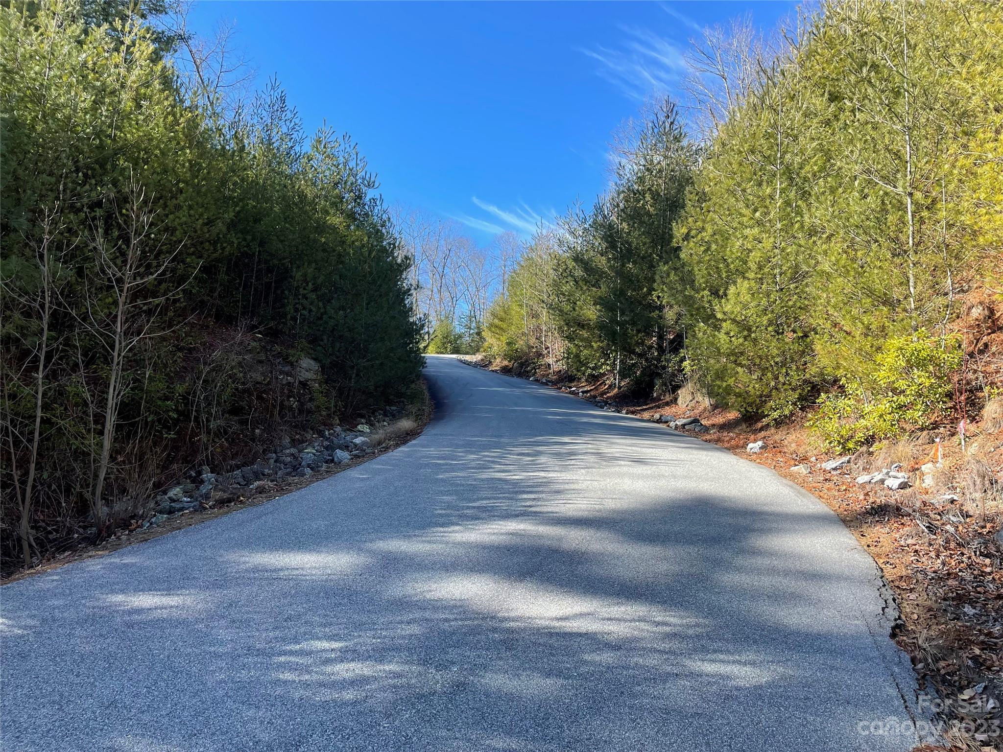 00 Willow Run Lane Zirconia NC 28790