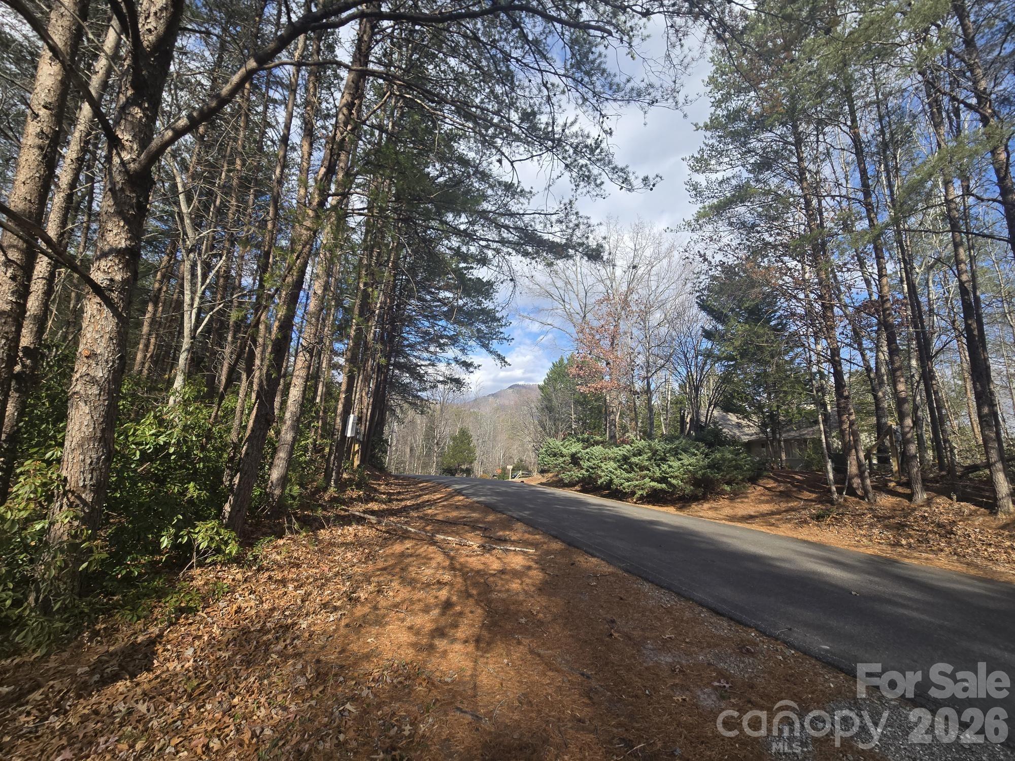 Lot 38 Dalton Court Lake Lure NC 28746