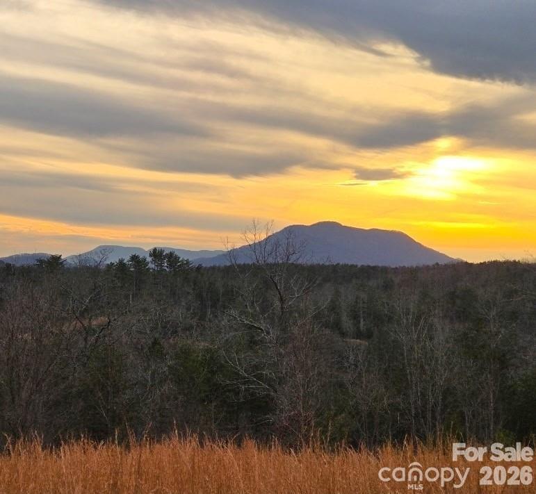 Lot #1 Price Summit Way Mill Spring NC 28756