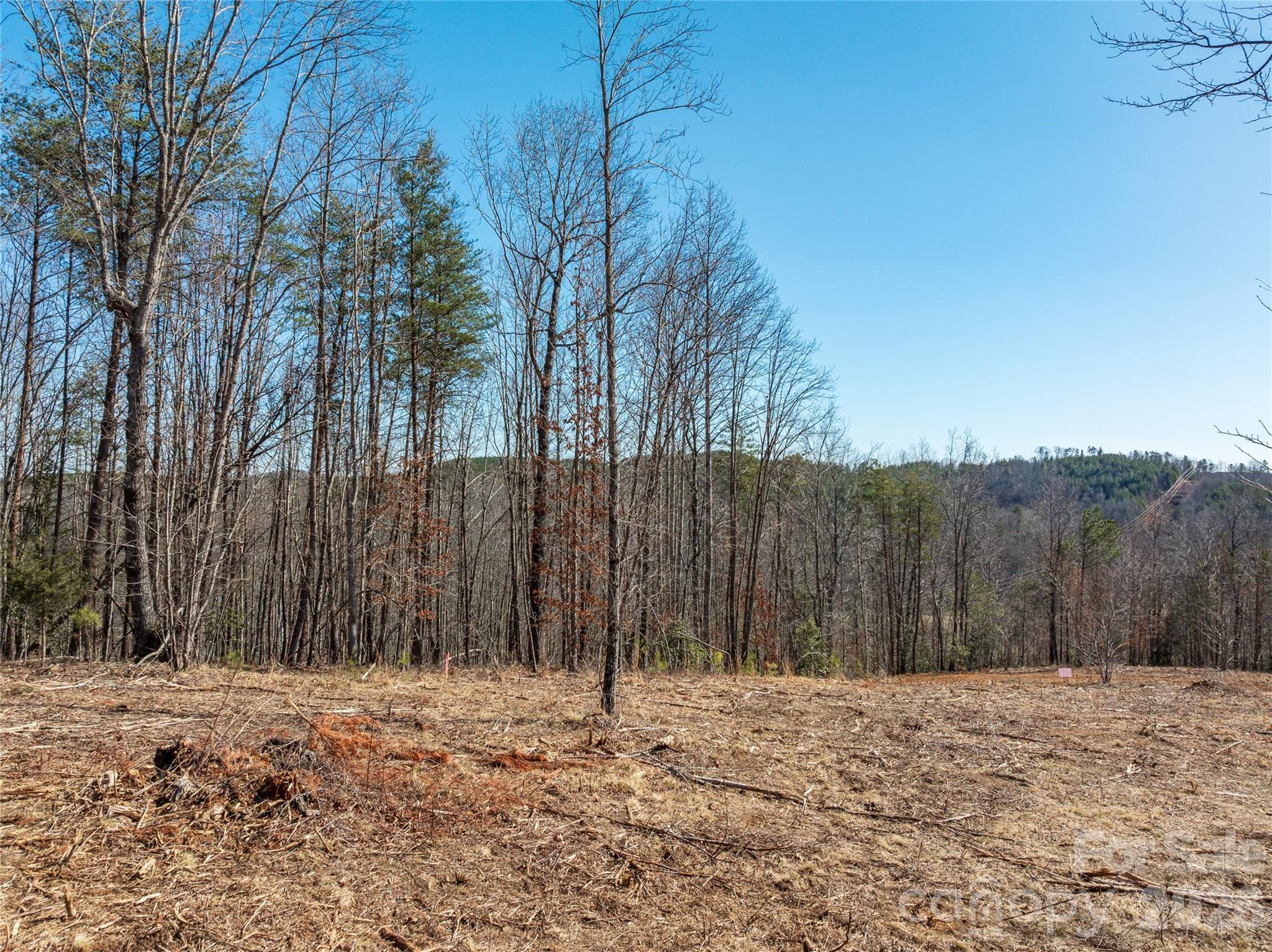 Lot #1 Price Summit Way Mill Spring NC 28756