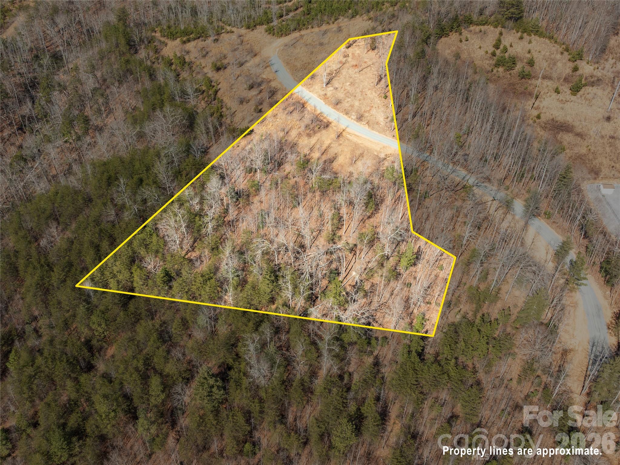 Lot #1 Price Summit Way Mill Spring NC 28756
