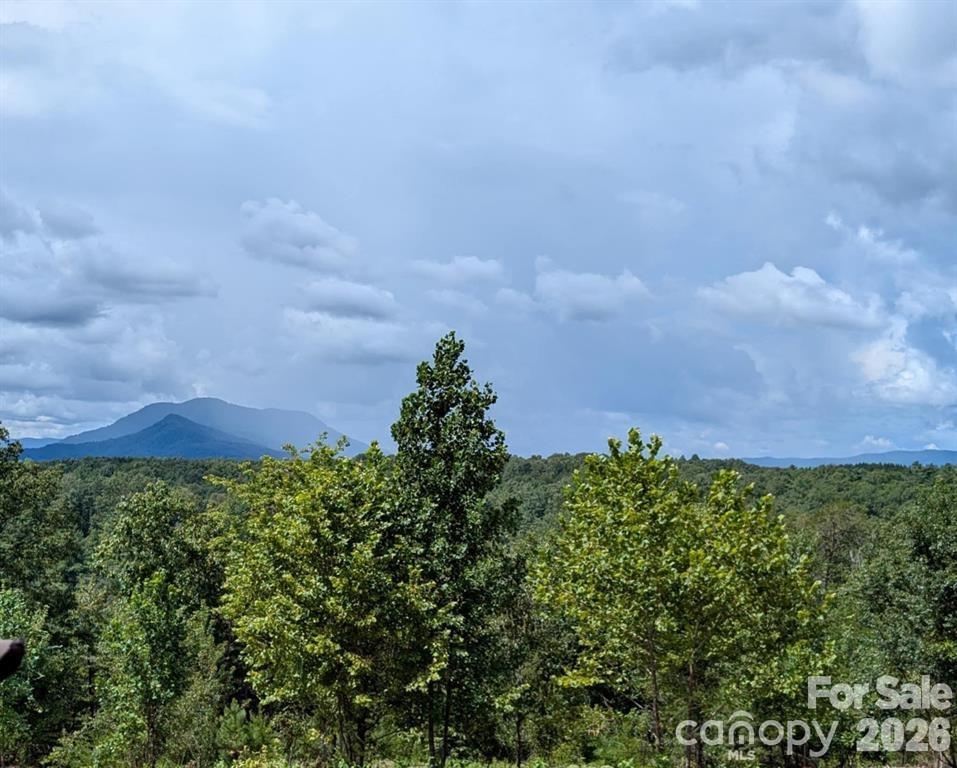 Lot #1 Price Summit Way Mill Spring NC 28756