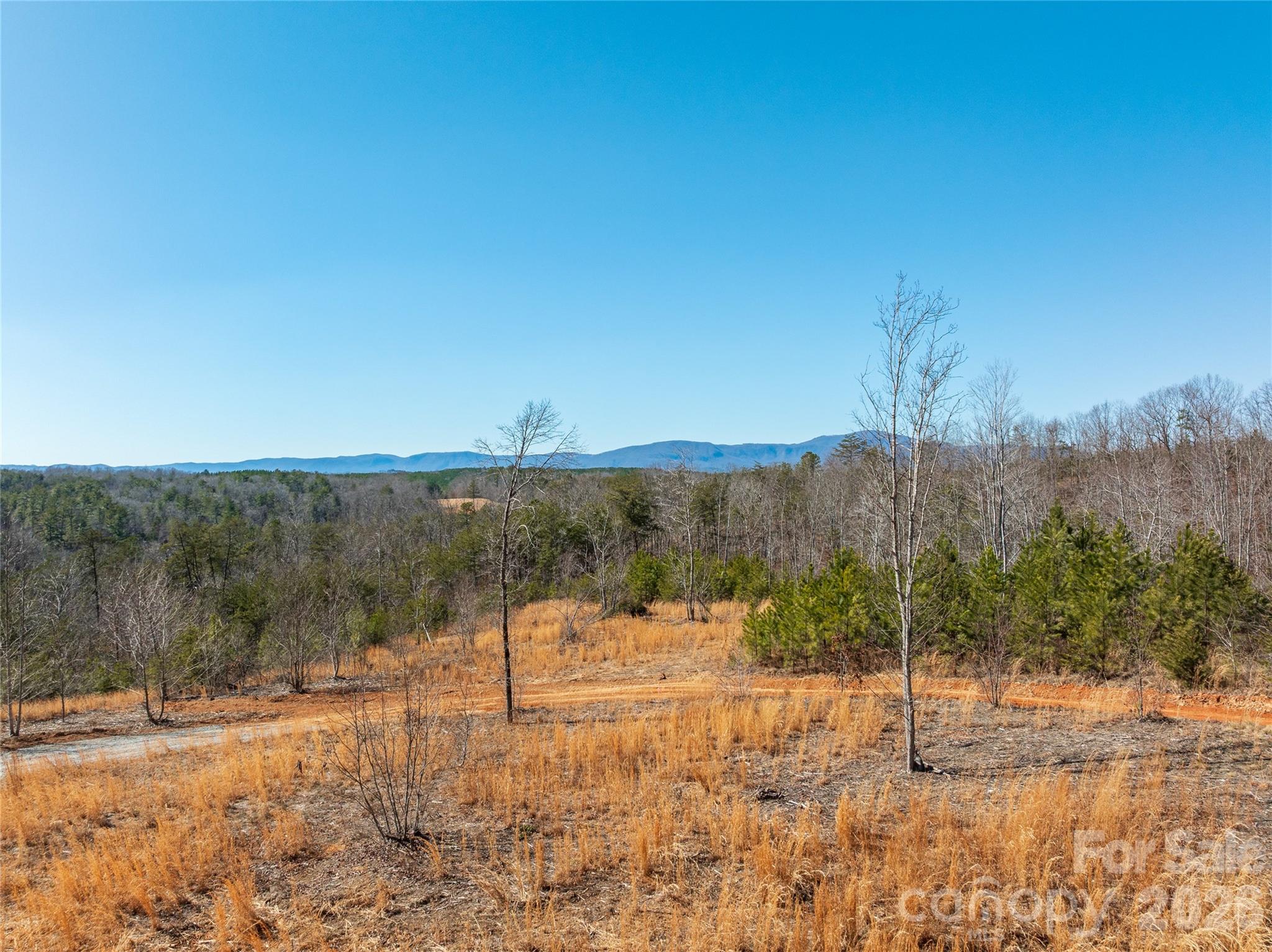 Lot #1 Price Summit Way Mill Spring NC 28756