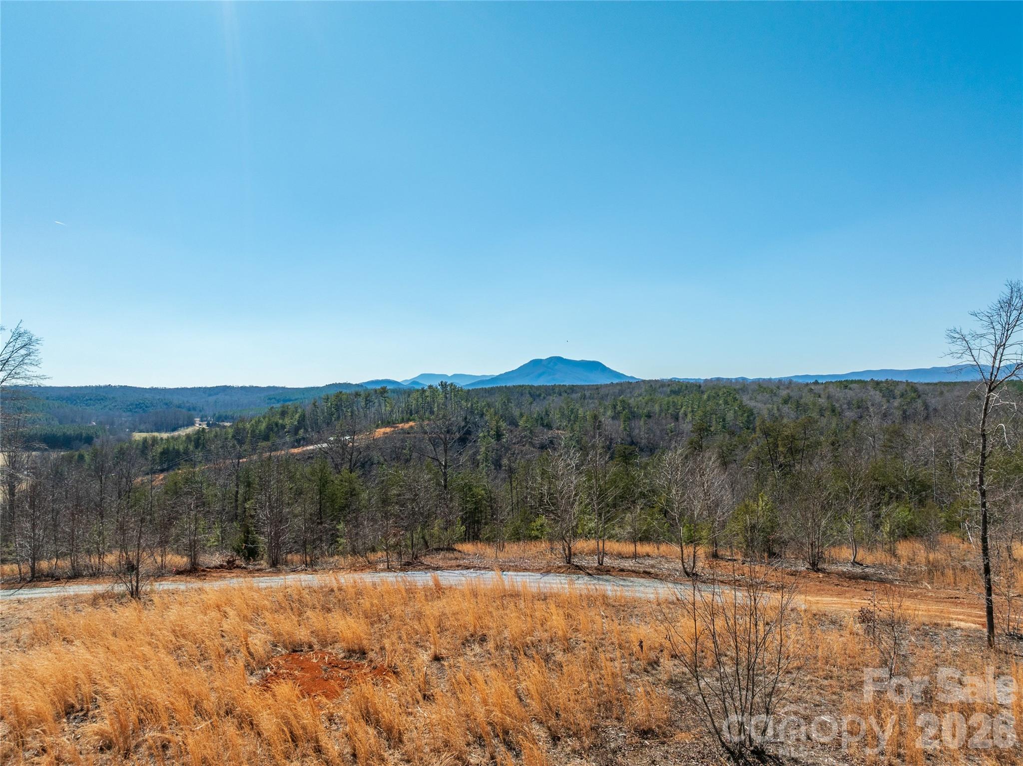 Lot #1 Price Summit Way Mill Spring NC 28756