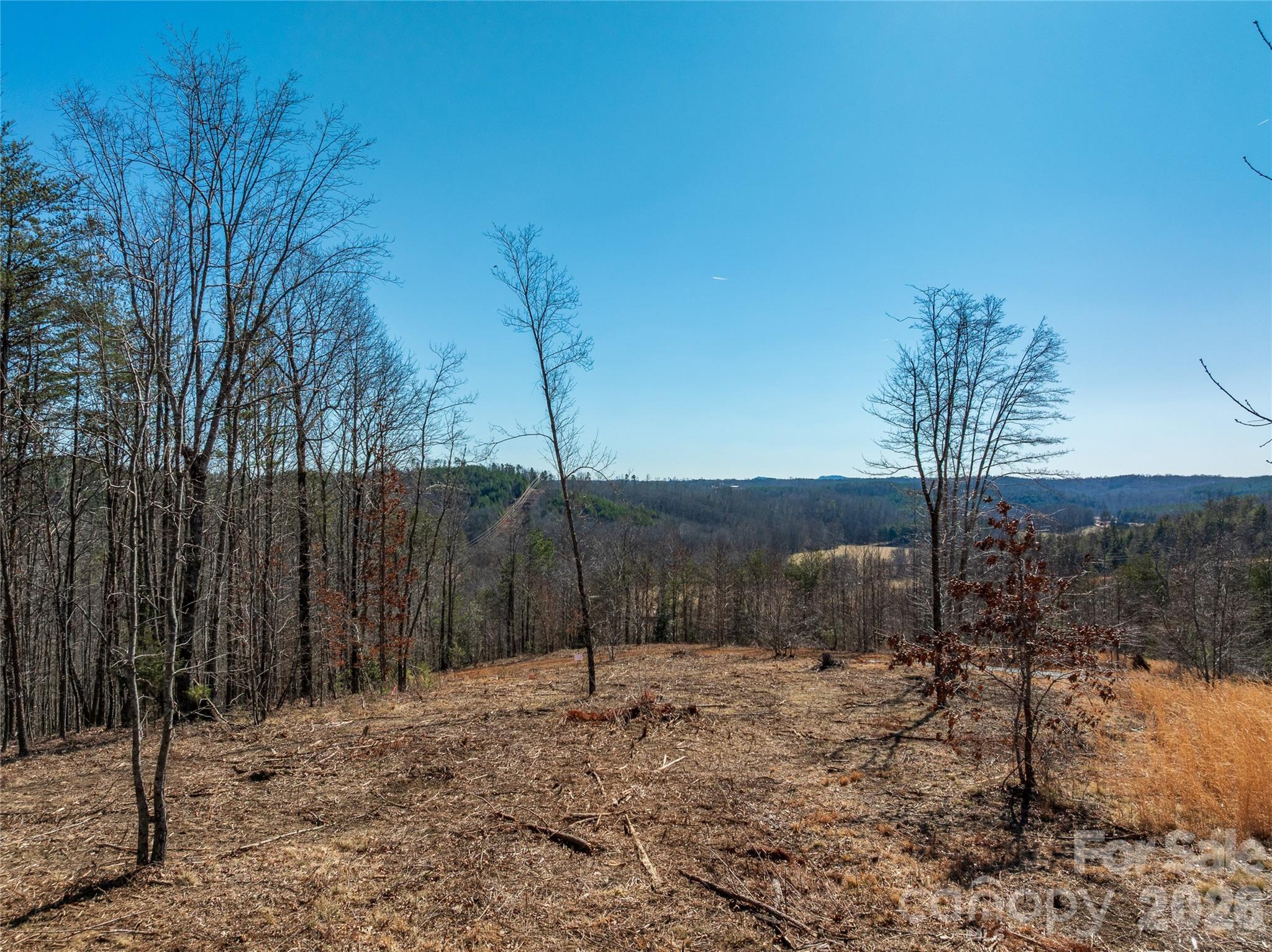 Lot #1 Price Summit Way Mill Spring NC 28756