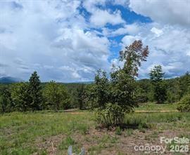 Lot #1 Price Summit Way Mill Spring NC 28756