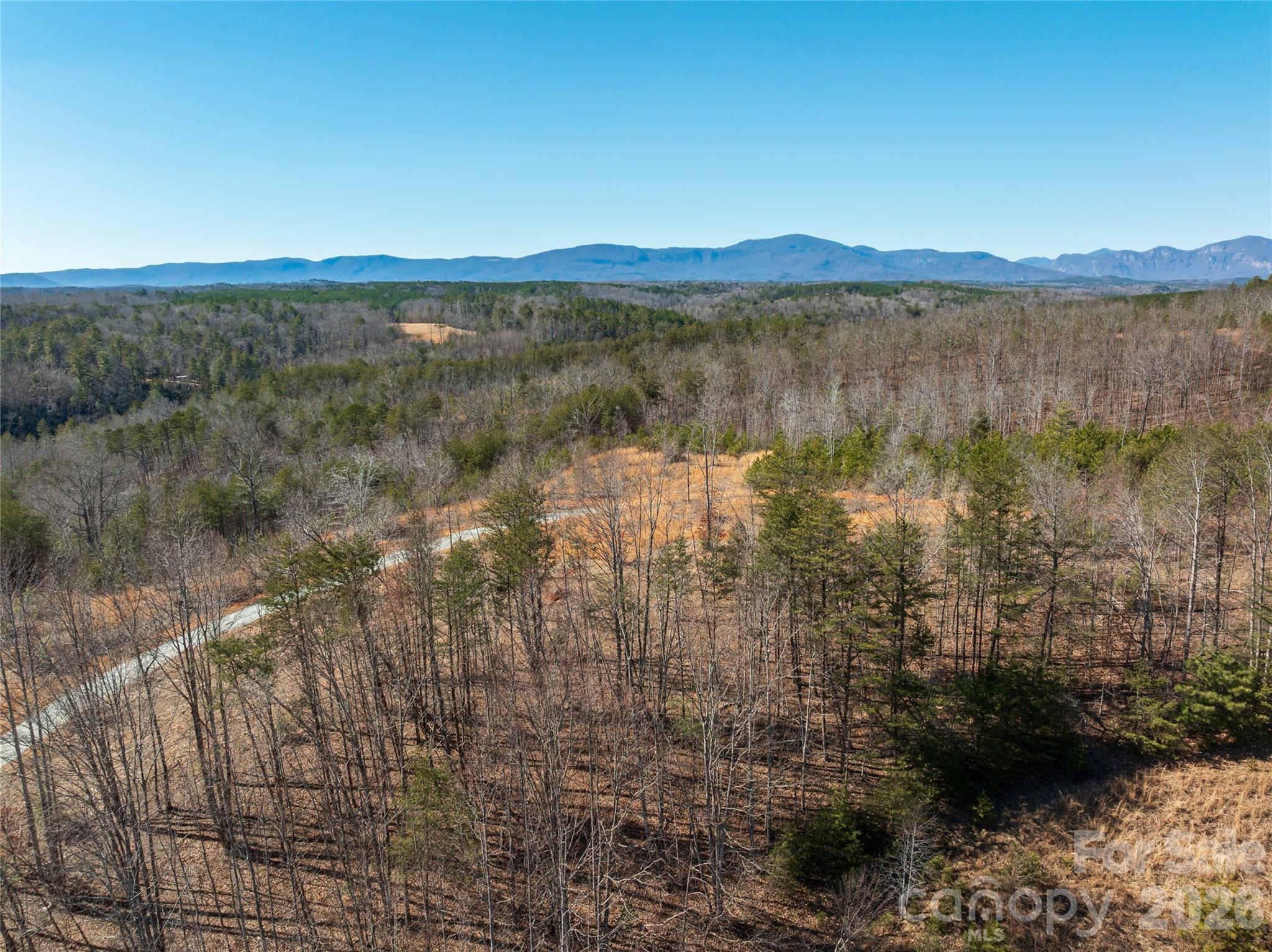 Lot #1 Price Summit Way Mill Spring NC 28756