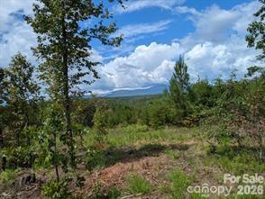 Lot #1 Price Summit Way Mill Spring NC 28756