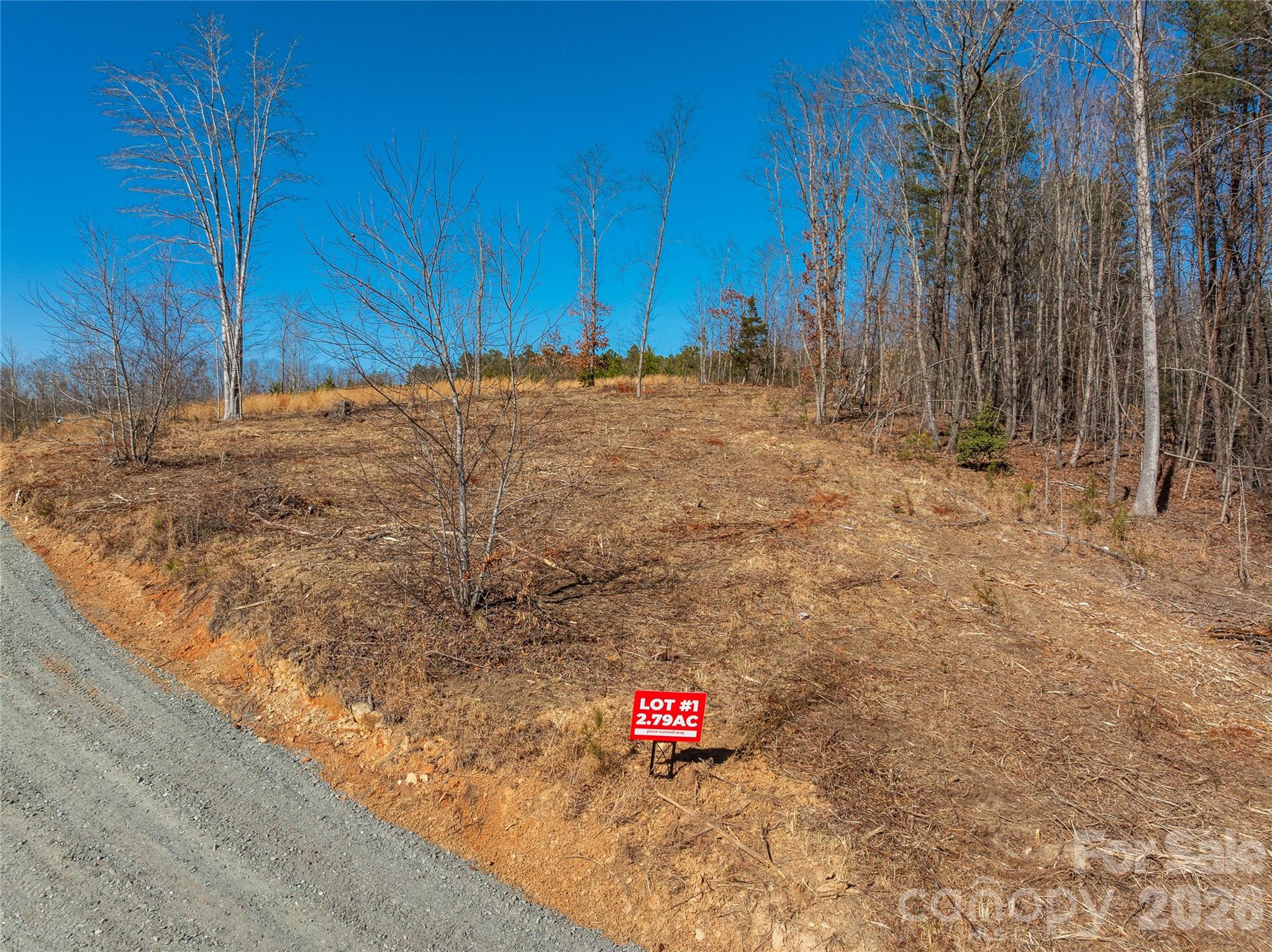 Lot #1 Price Summit Way Mill Spring NC 28756