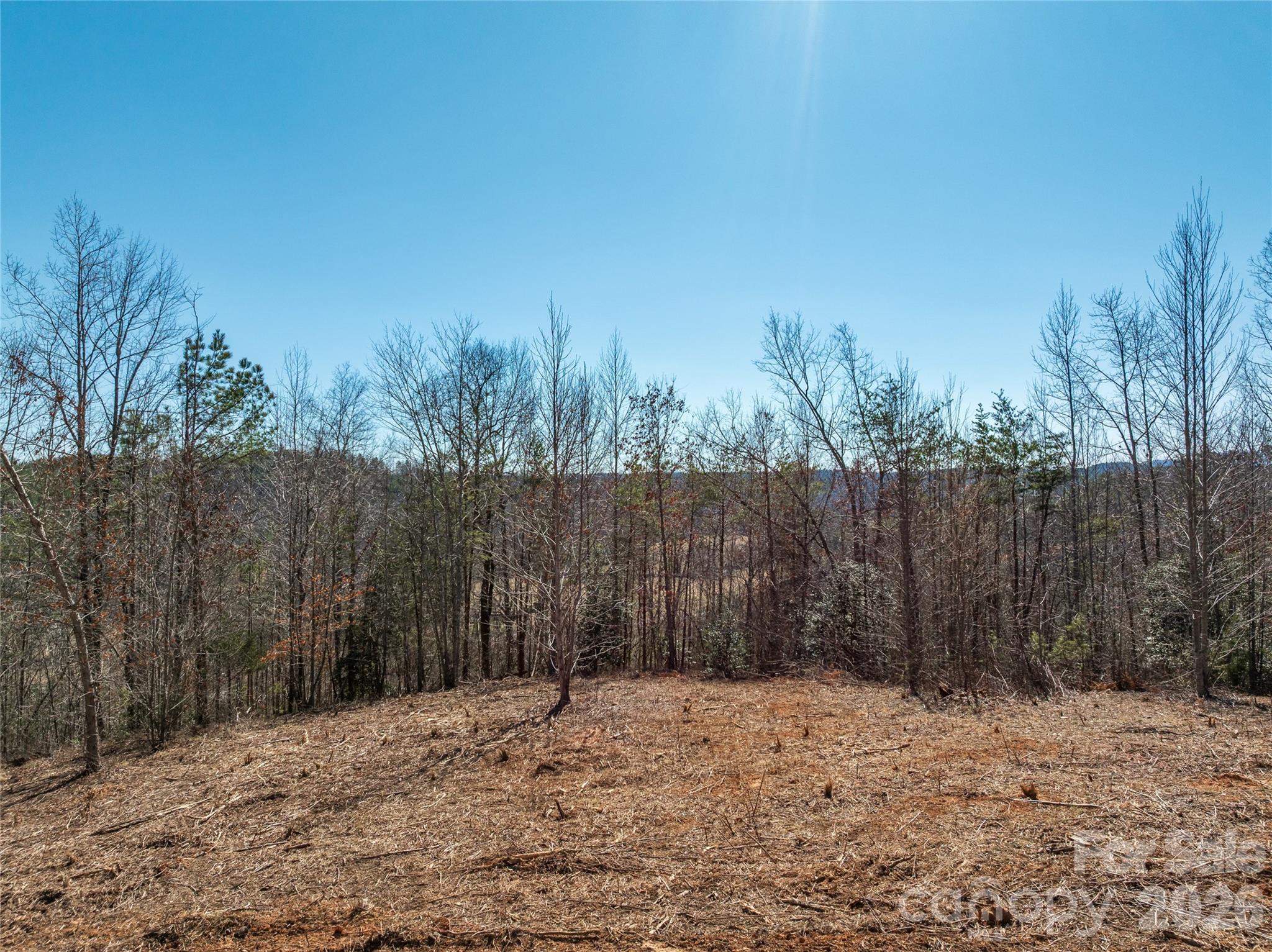 Lot #1 Price Summit Way Mill Spring NC 28756