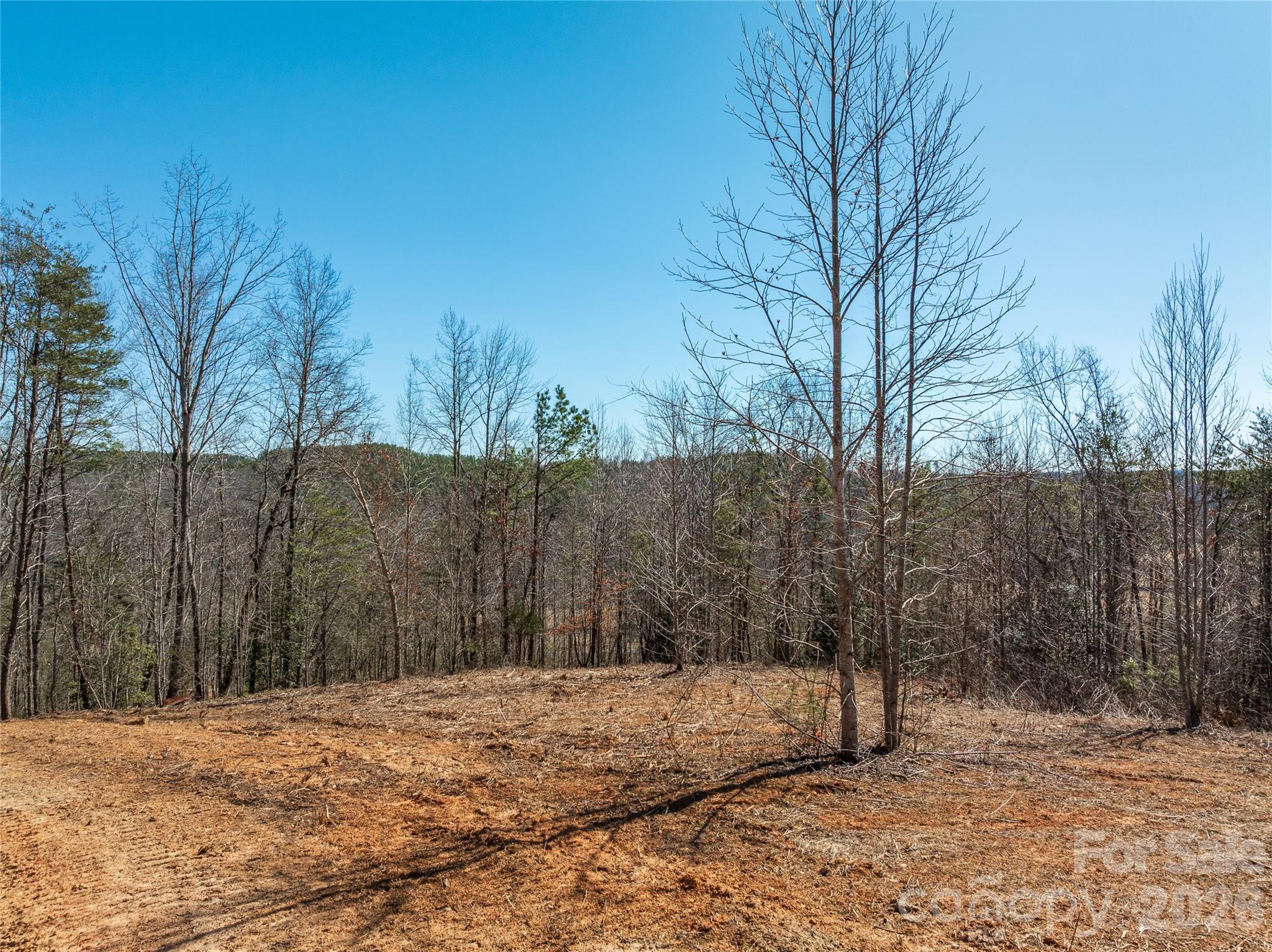 Lot #1 Price Summit Way Mill Spring NC 28756