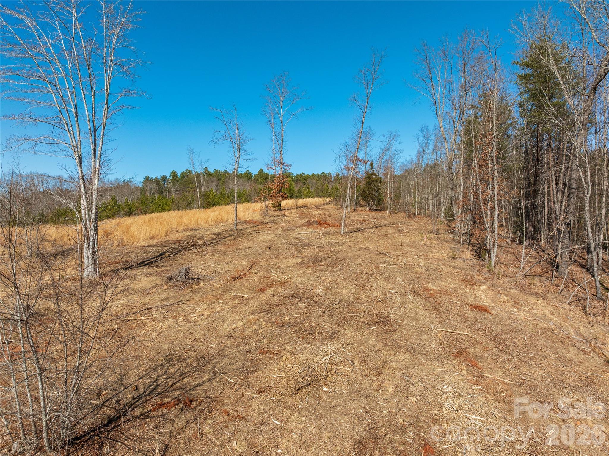 Lot #1 Price Summit Way Mill Spring NC 28756