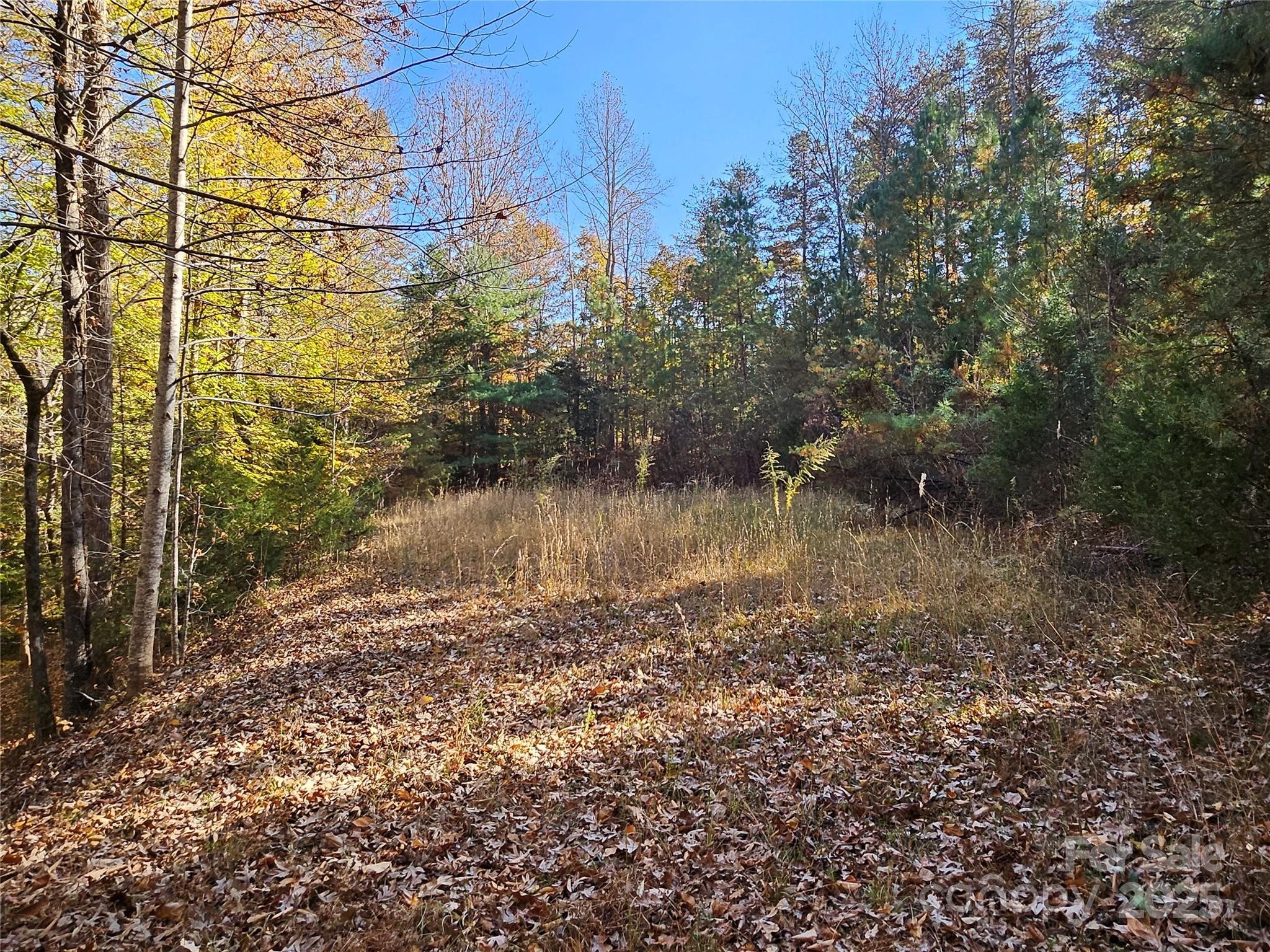 125 Big Cedar Drive Rutherfordton NC 28139