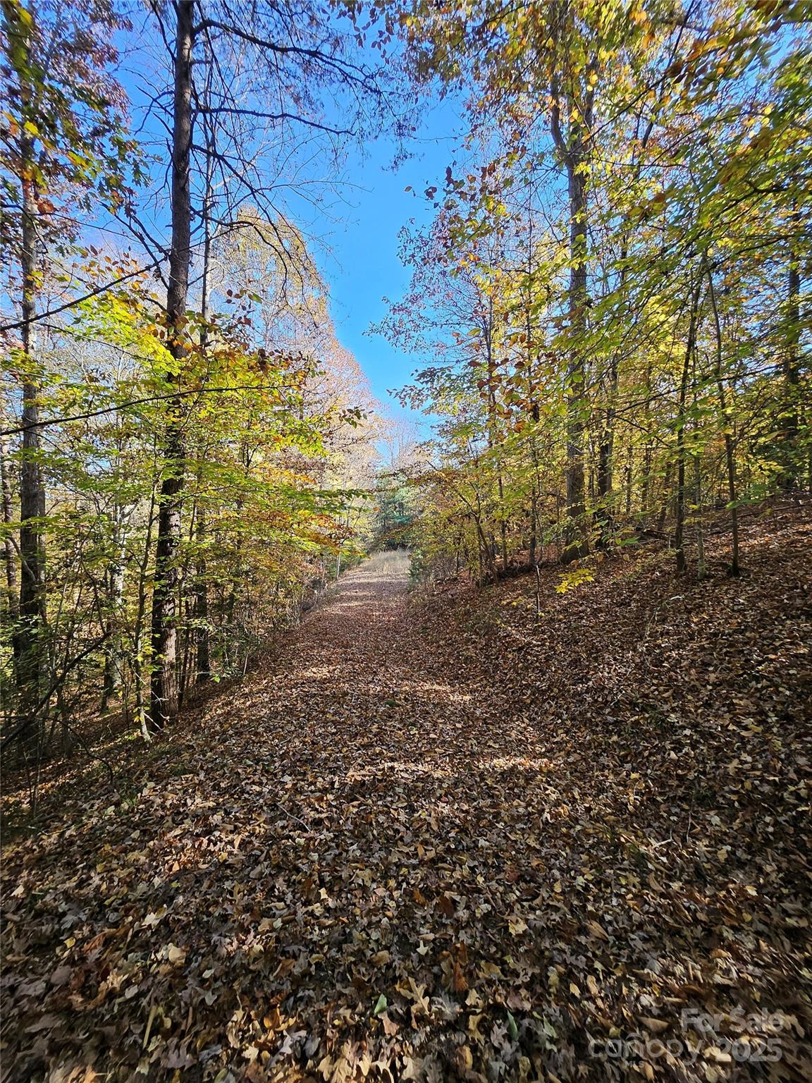 125 Big Cedar Drive Rutherfordton NC 28139