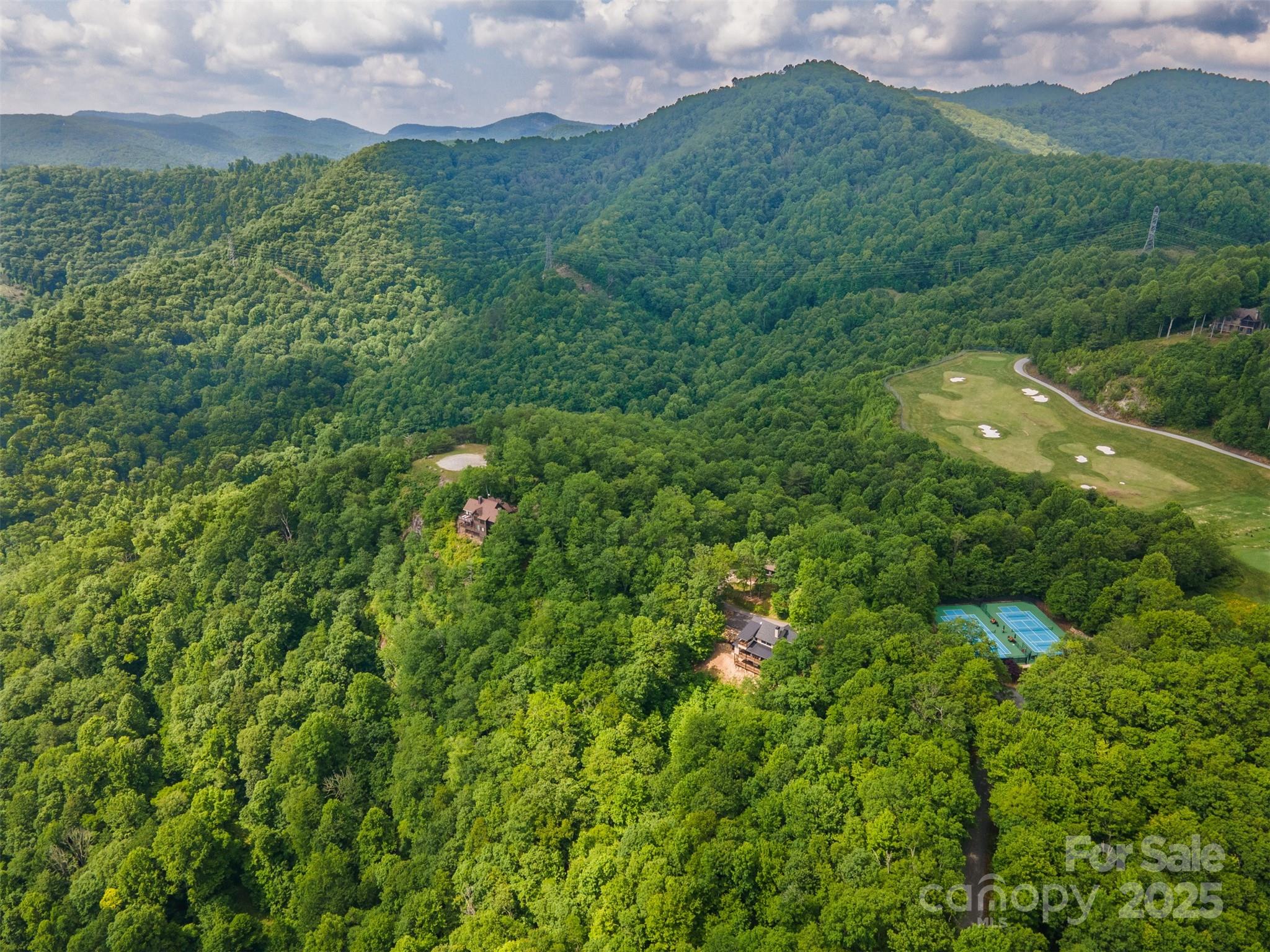 627 Steeplebush Court Tuckasegee NC 28783