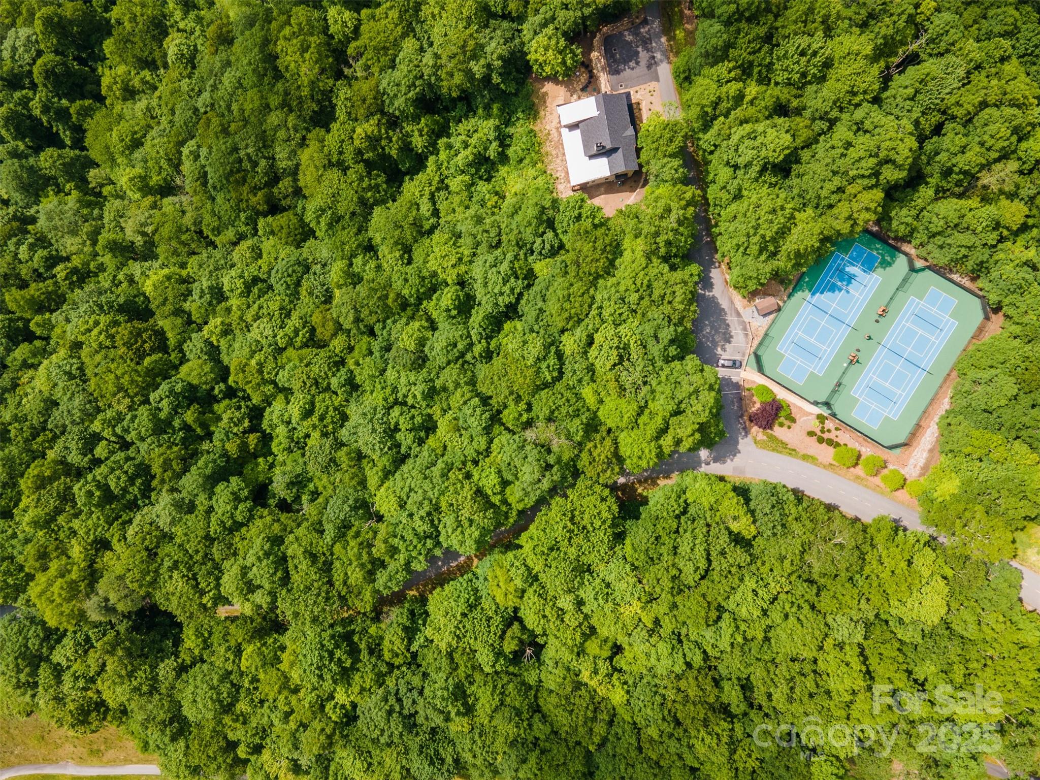627 Steeplebush Court Tuckasegee NC 28783