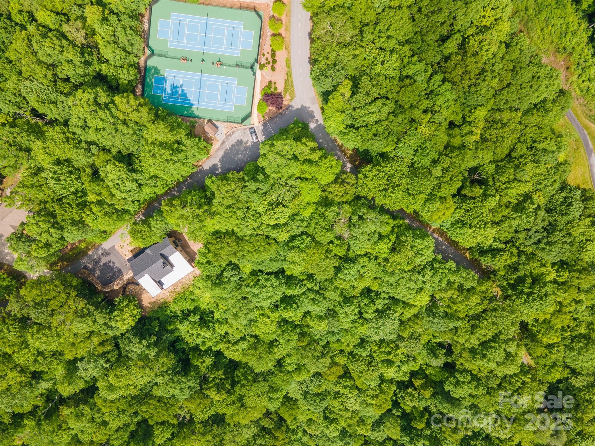 627 Steeplebush Court Tuckasegee NC 28783