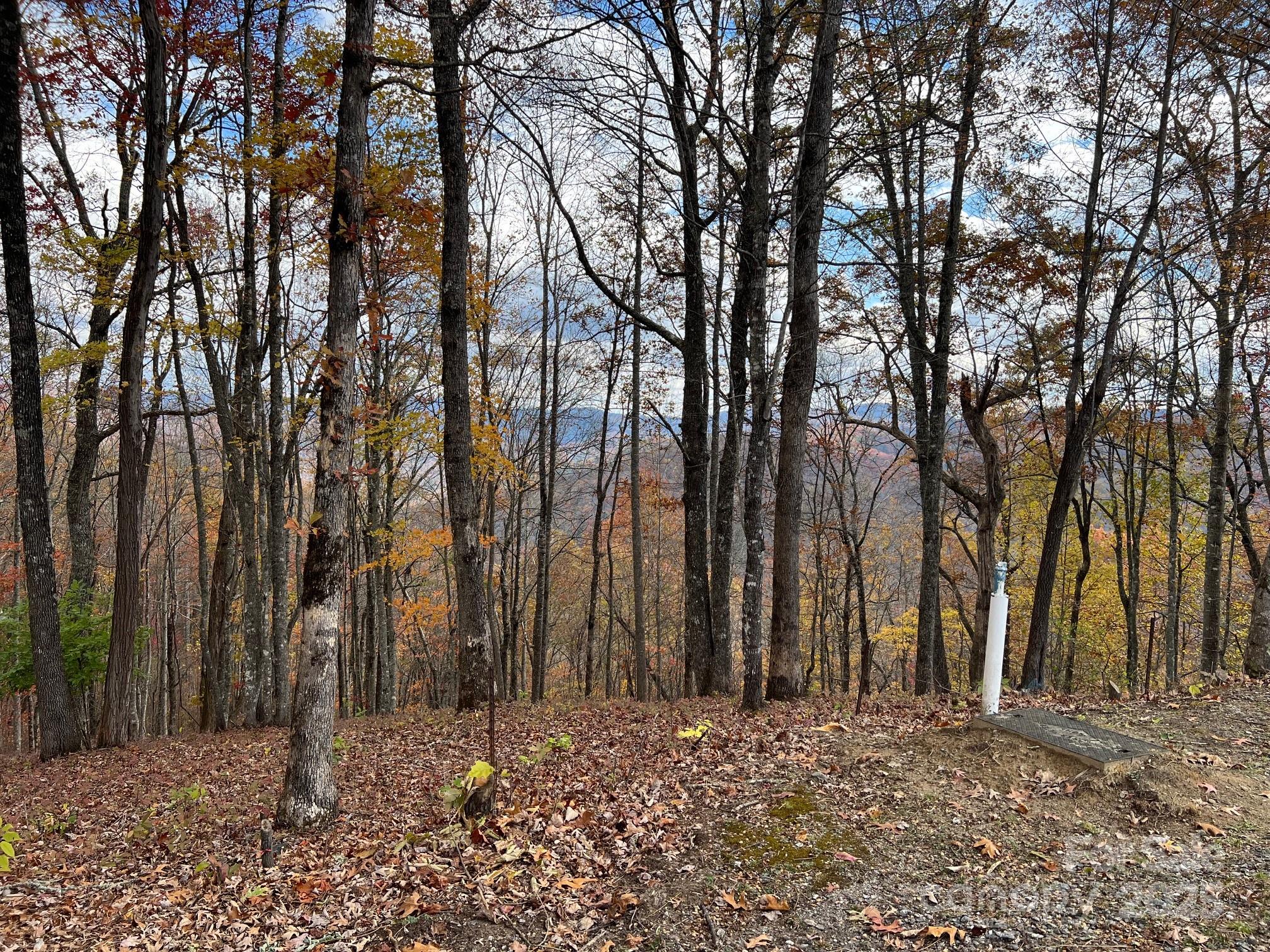627 Steeplebush Court Tuckasegee NC 28783