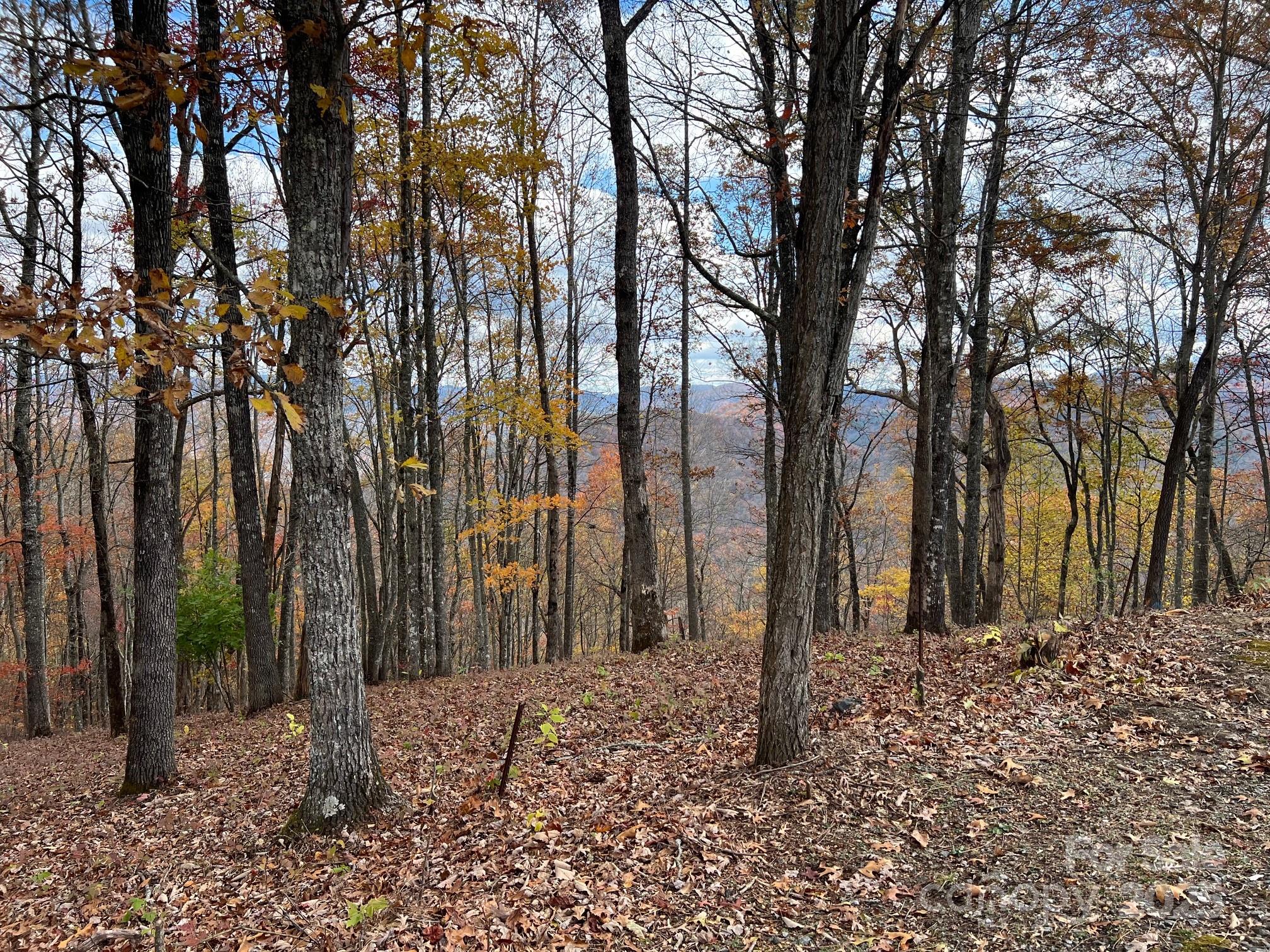 627 Steeplebush Court Tuckasegee NC 28783