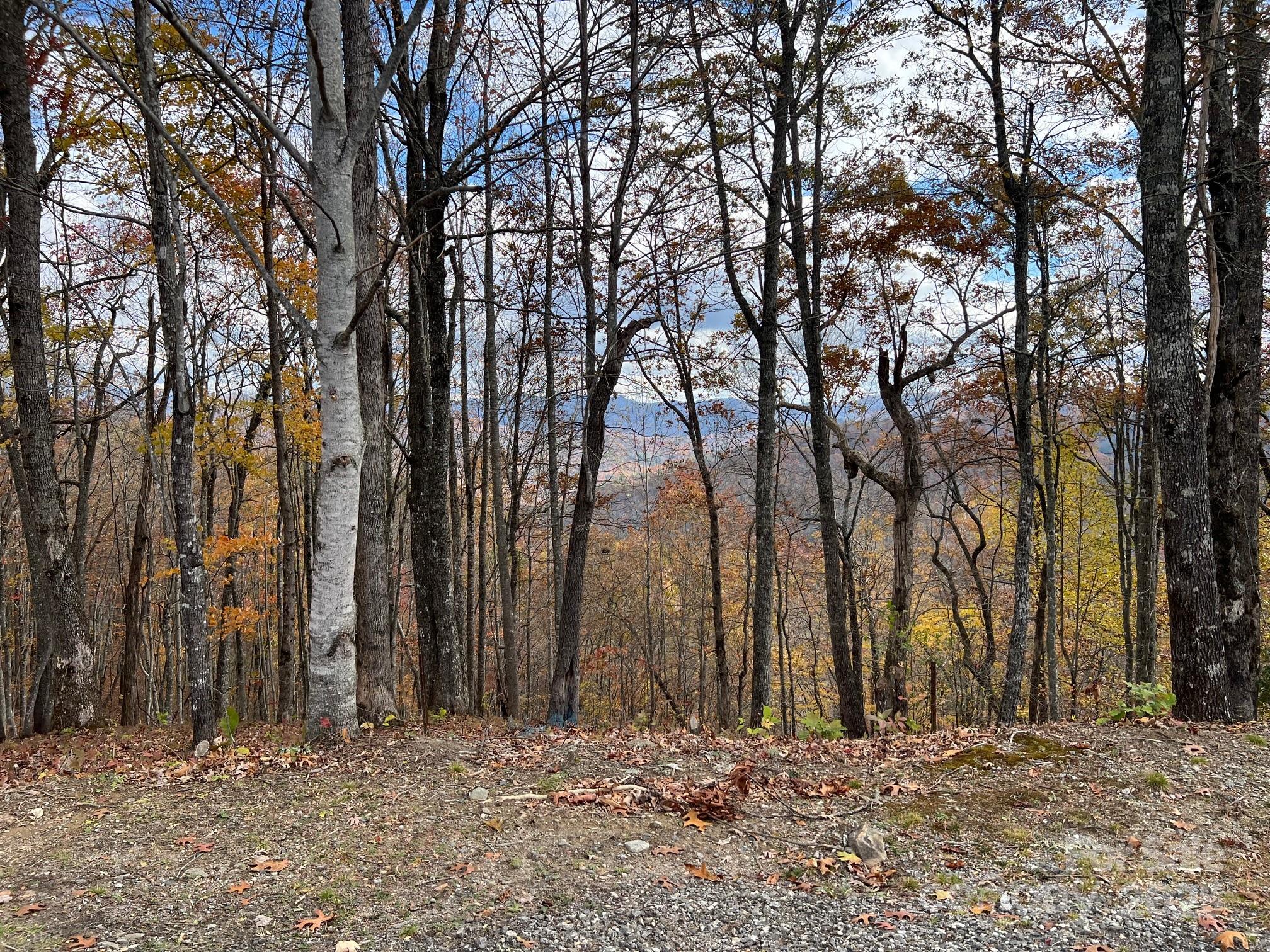 627 Steeplebush Court Tuckasegee NC 28783