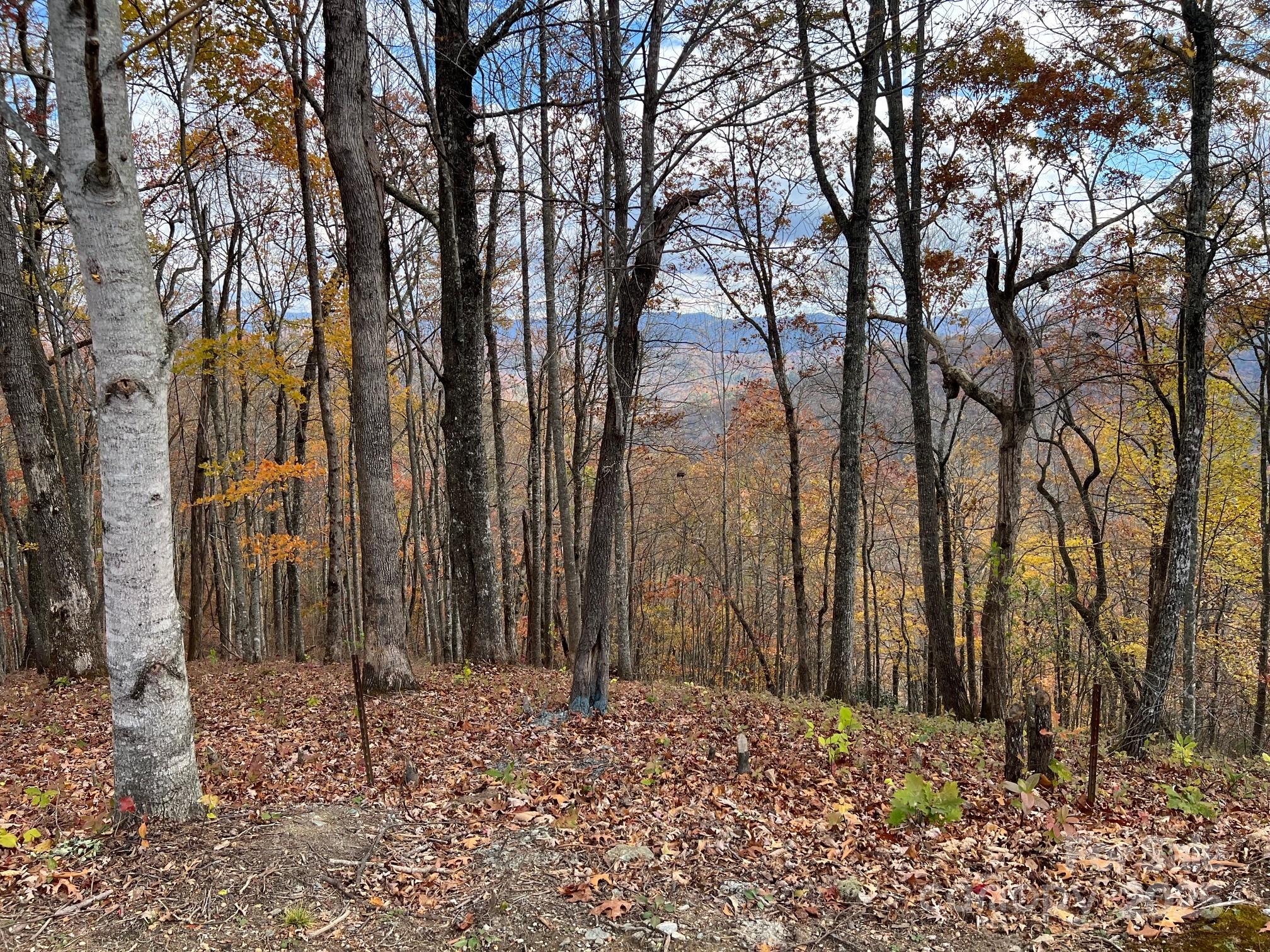627 Steeplebush Court Tuckasegee NC 28783