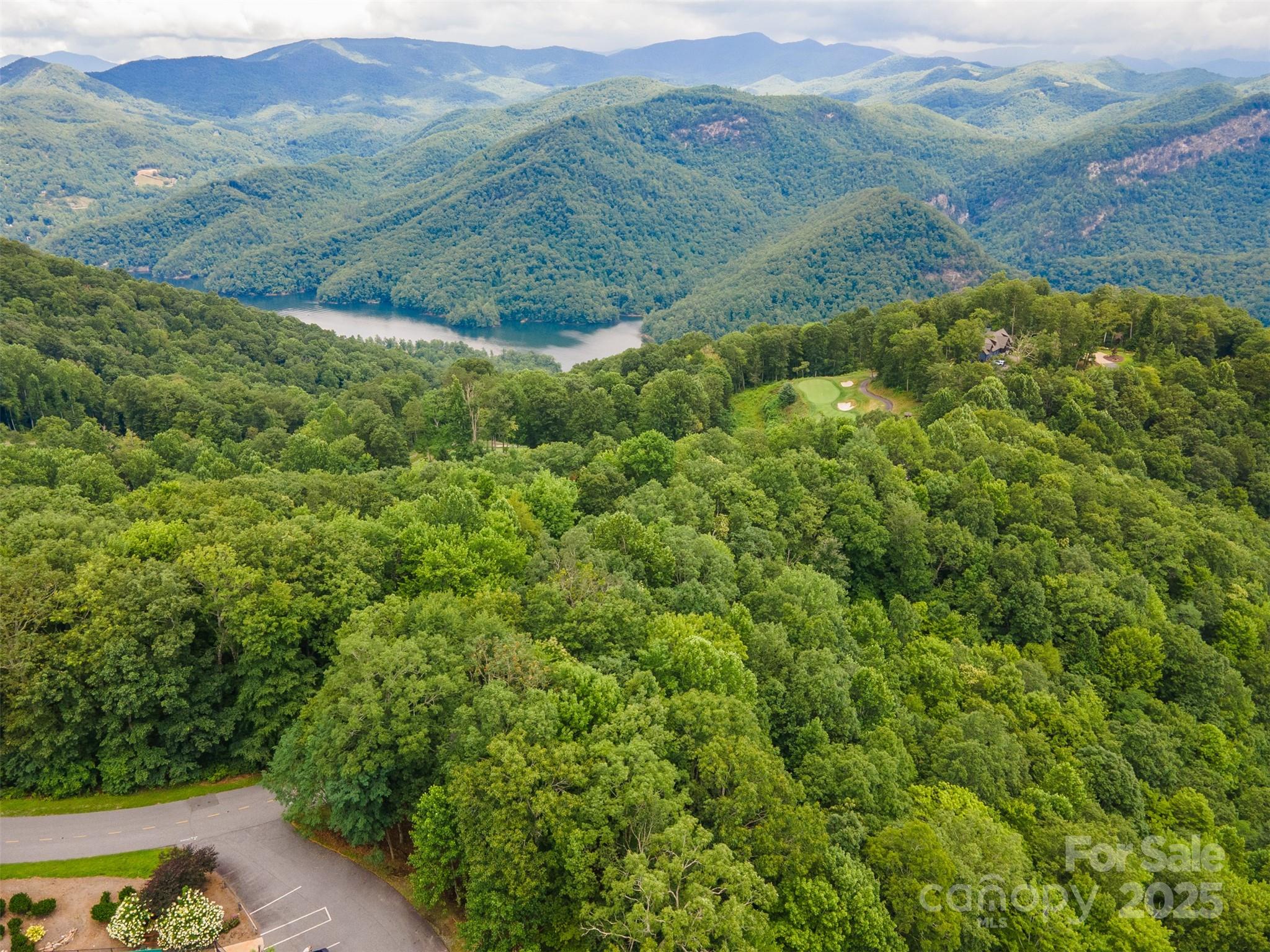 627 Steeplebush Court Tuckasegee NC 28783