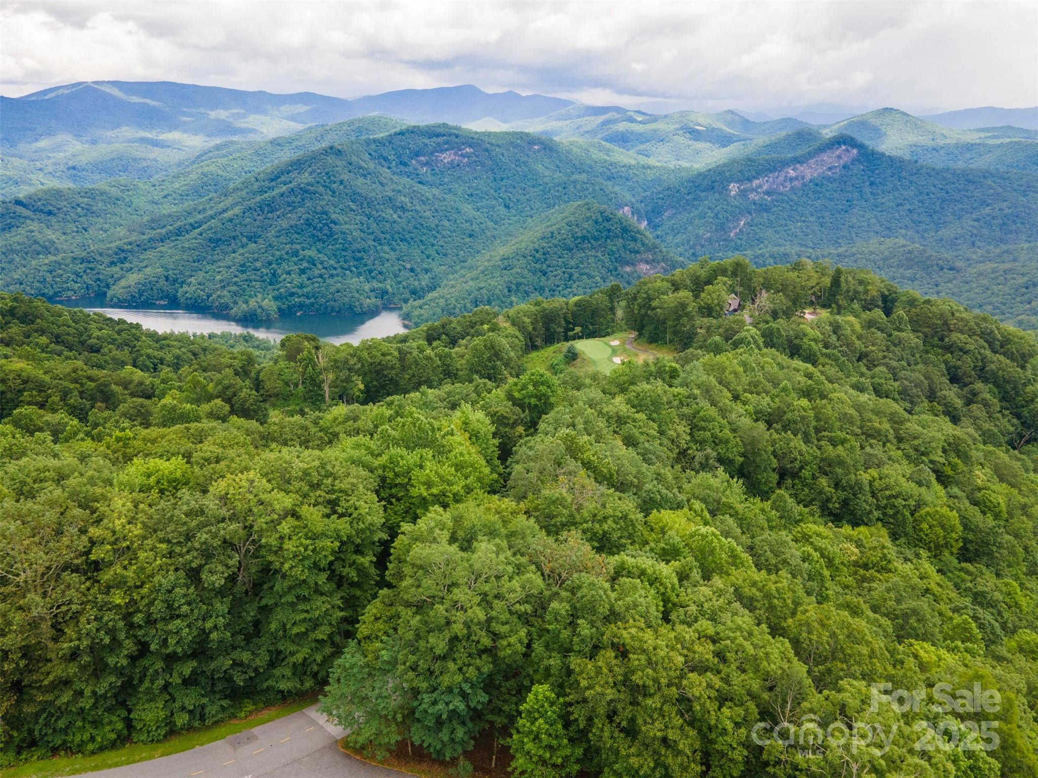 627 Steeplebush Court Tuckasegee NC 28783