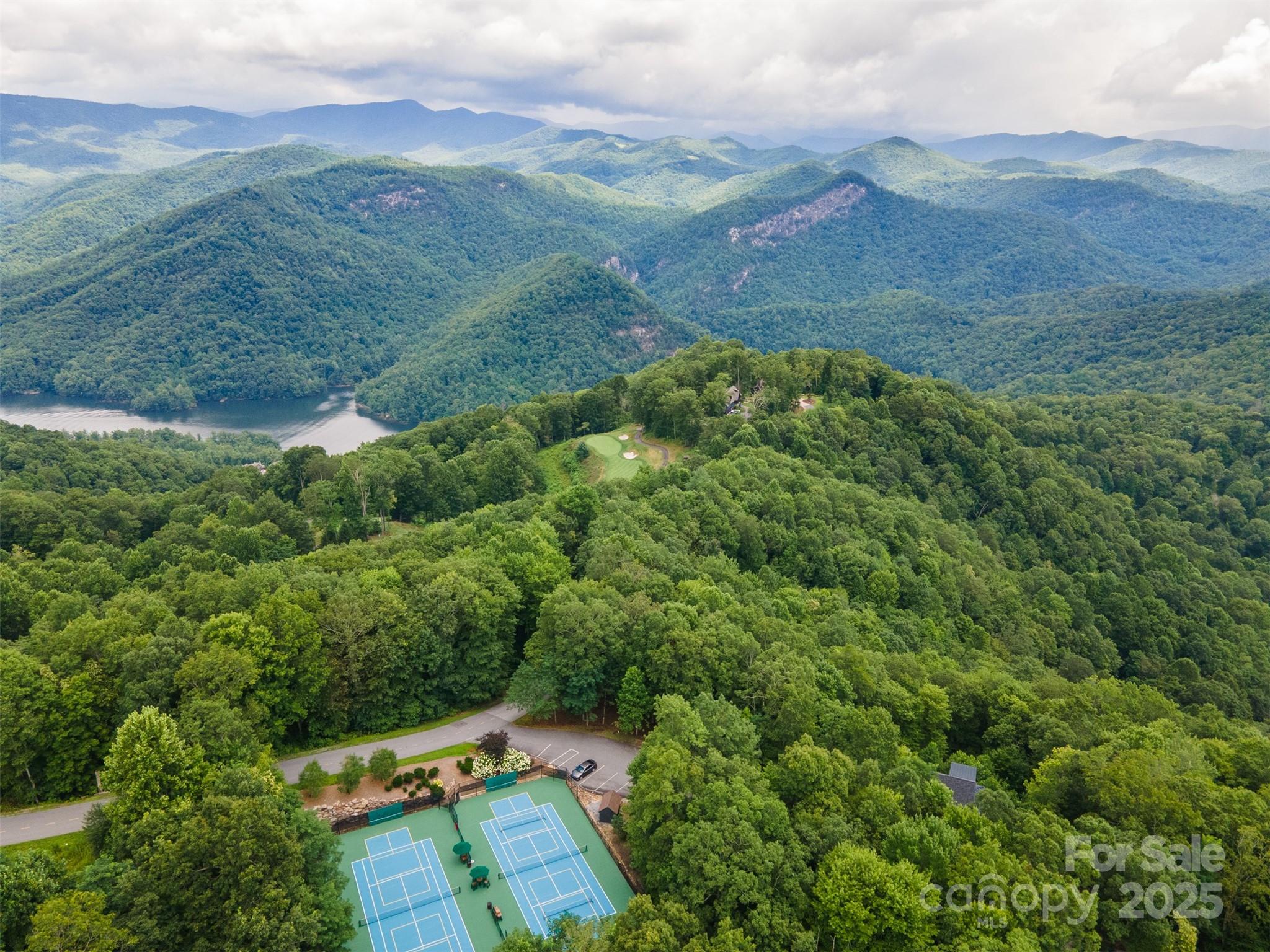 627 Steeplebush Court Tuckasegee NC 28783