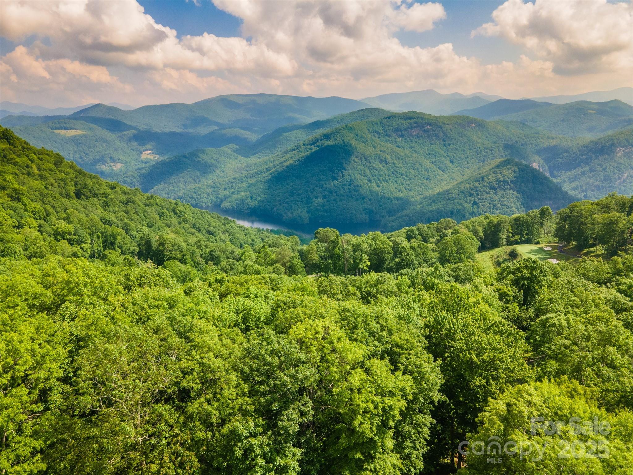 627 Steeplebush Court Tuckasegee NC 28783