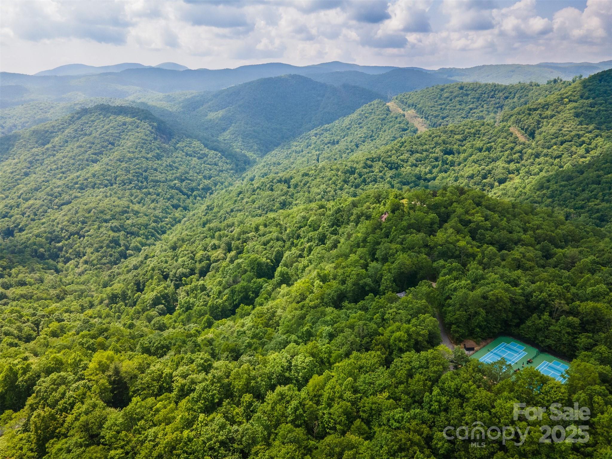 627 Steeplebush Court Tuckasegee NC 28783