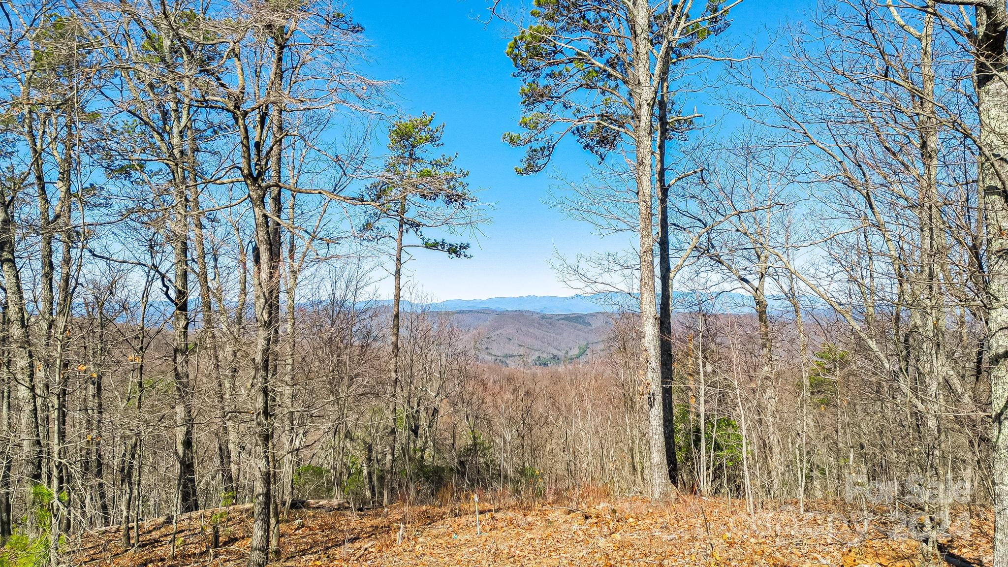 0000 Locust Road Union Mills NC 28167