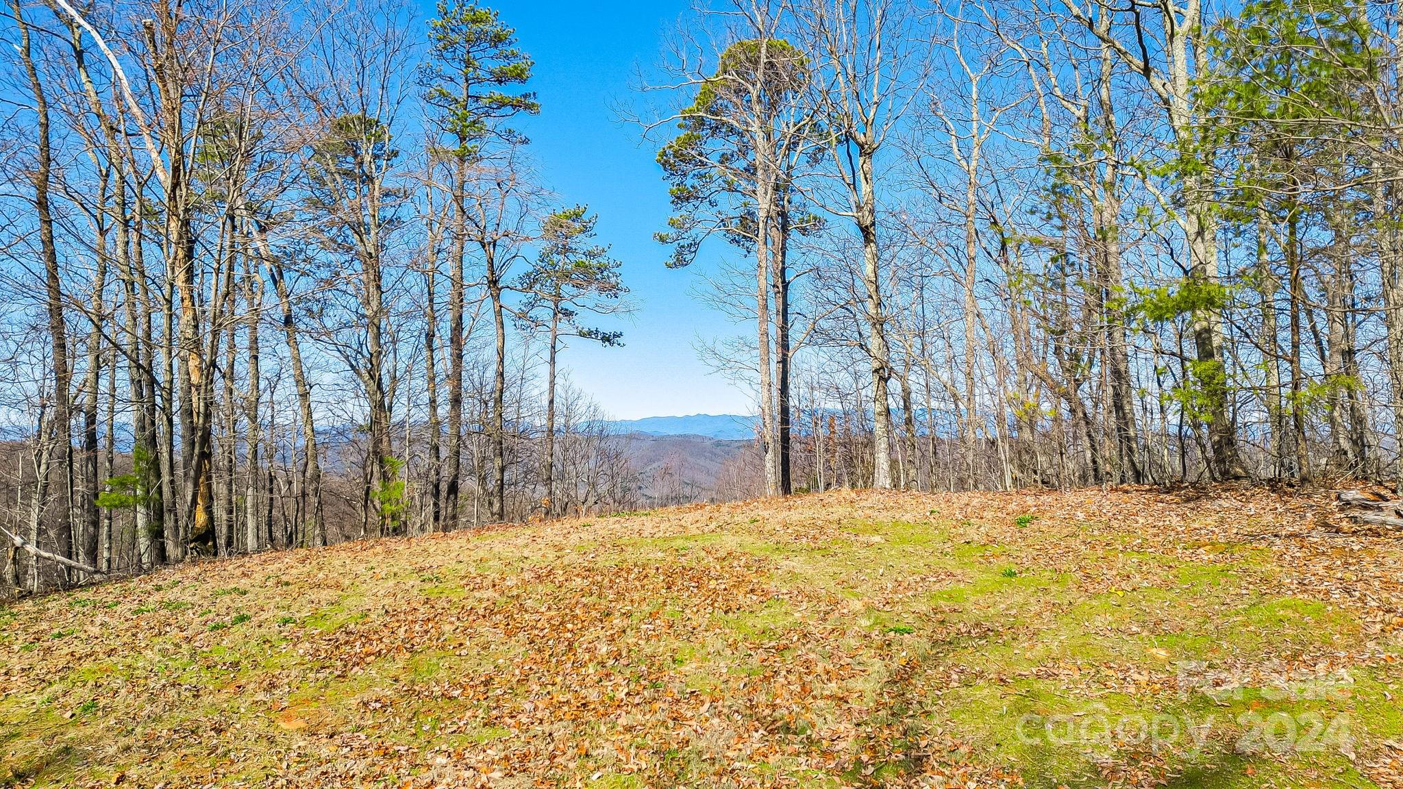 0000 Locust Road Union Mills NC 28167