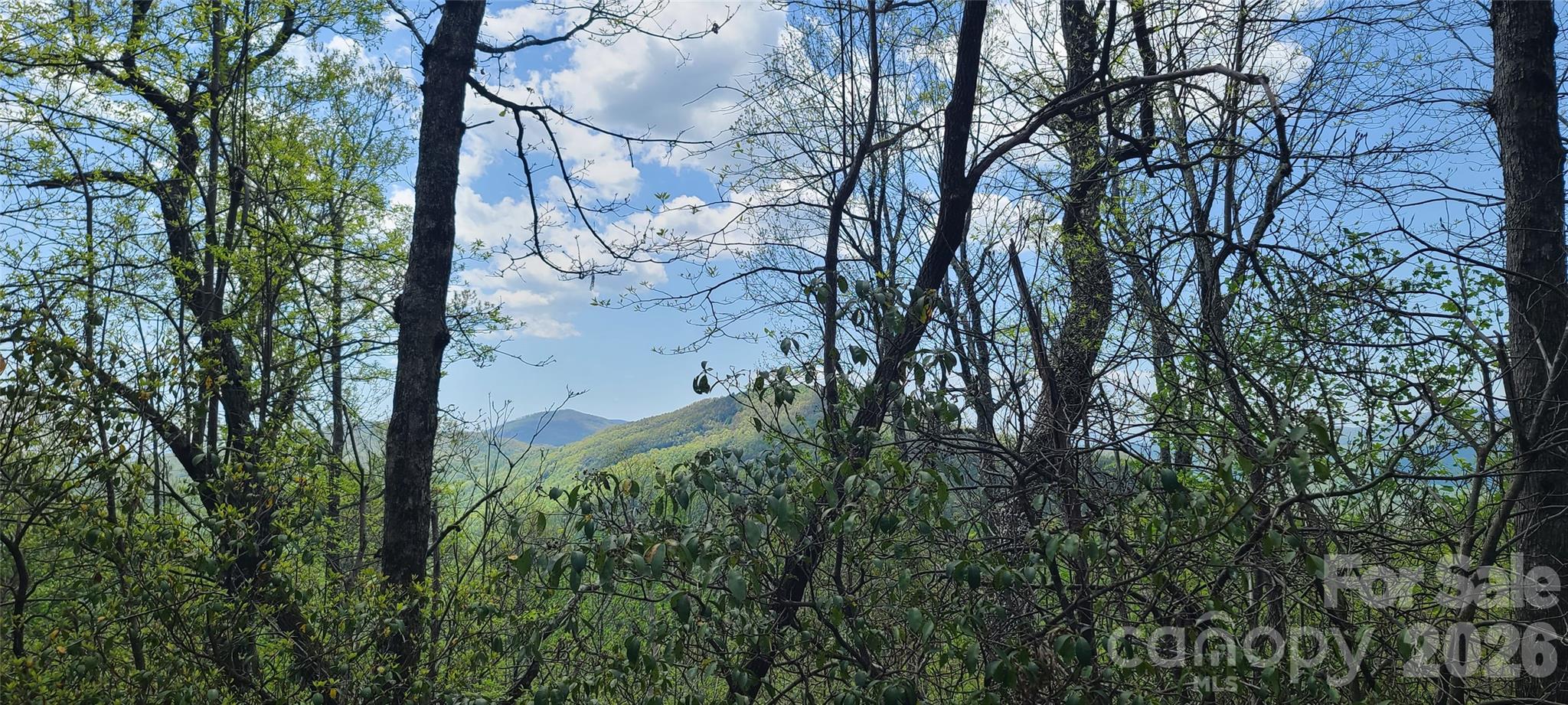 102 High Cliffs Trail Black Mountain NC 28711