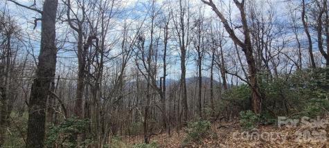 102 High Cliffs Trail Black Mountain NC 28711