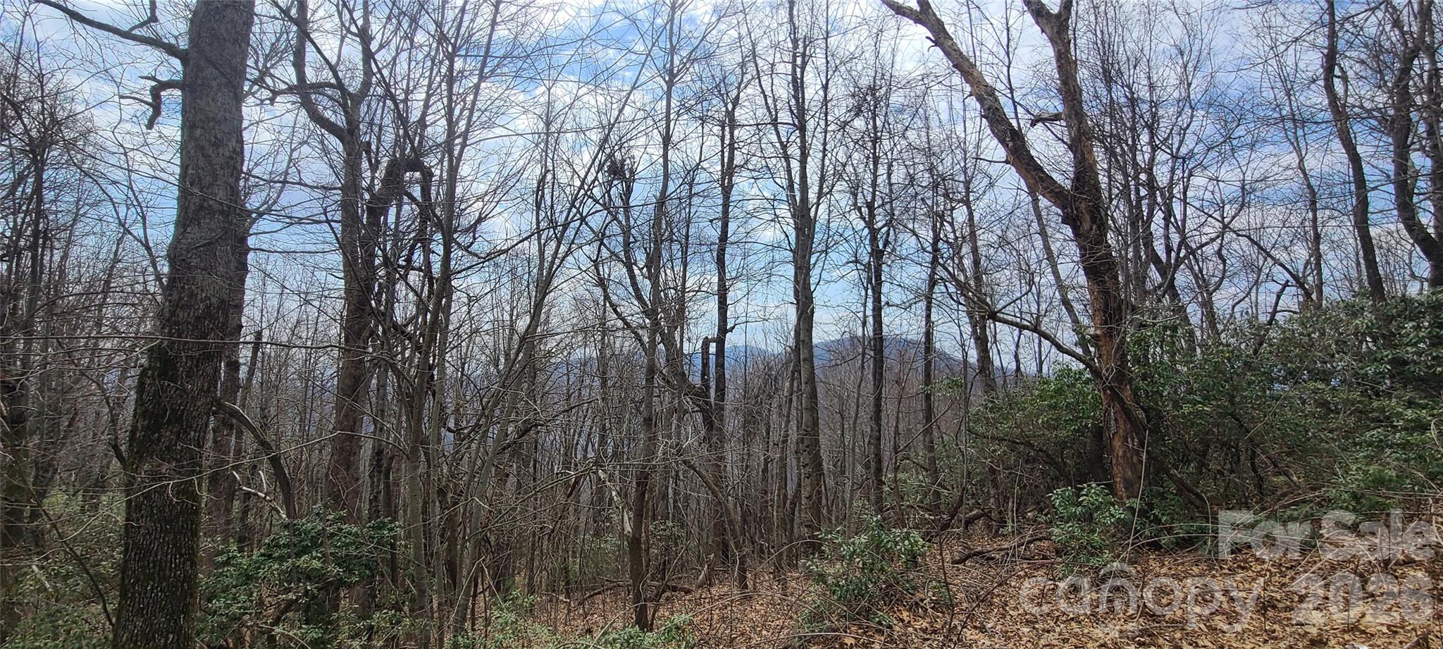 102 High Cliffs Trail Black Mountain NC 28711