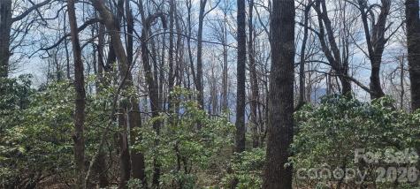 102 High Cliffs Trail Black Mountain NC 28711
