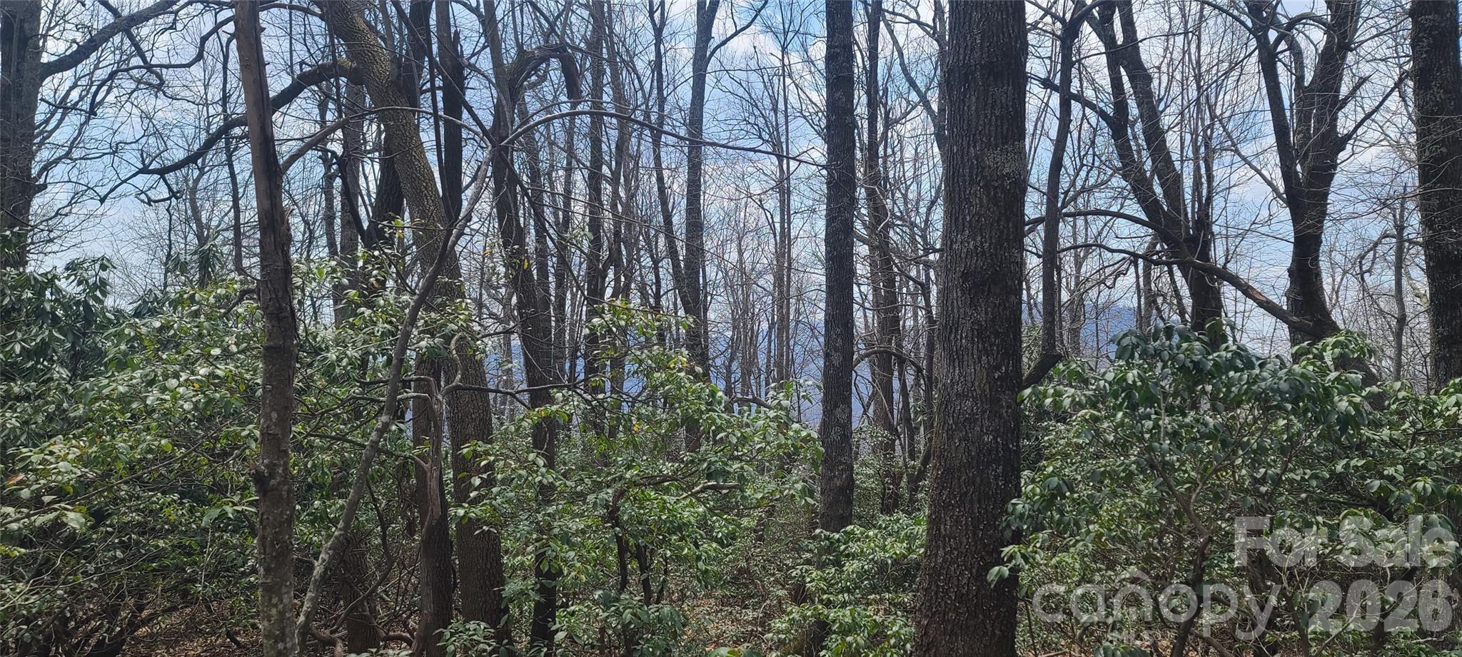 102 High Cliffs Trail Black Mountain NC 28711