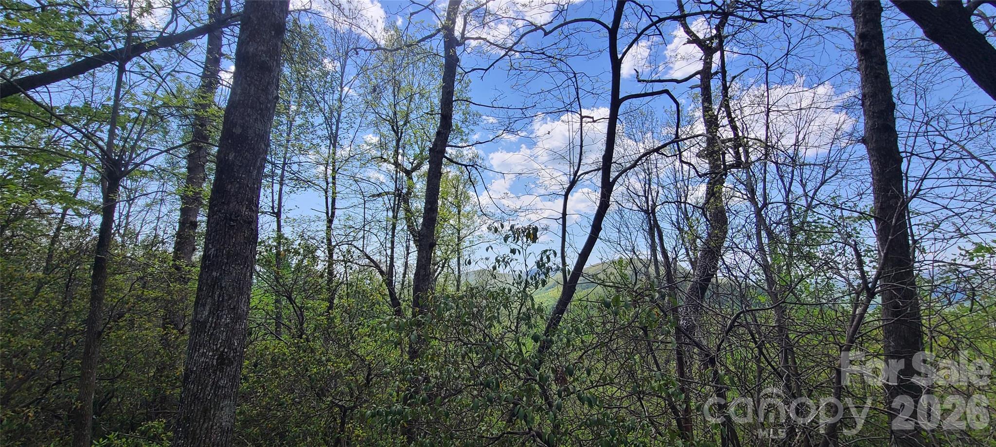 102 High Cliffs Trail Black Mountain NC 28711