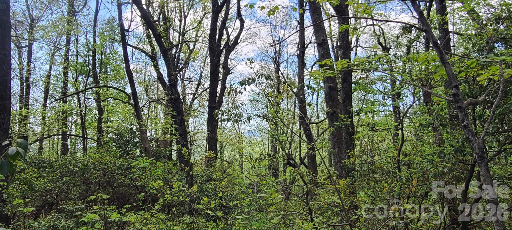 102 High Cliffs Trail Black Mountain NC 28711