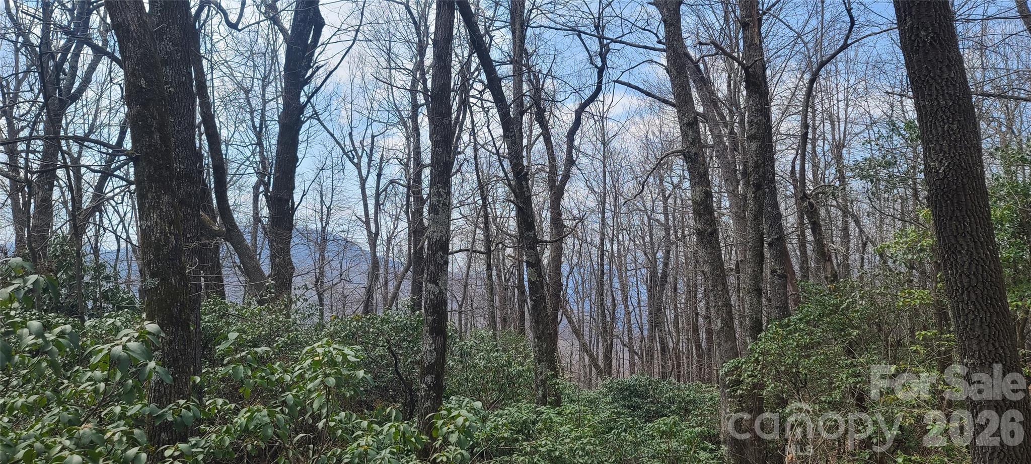 102 High Cliffs Trail Black Mountain NC 28711