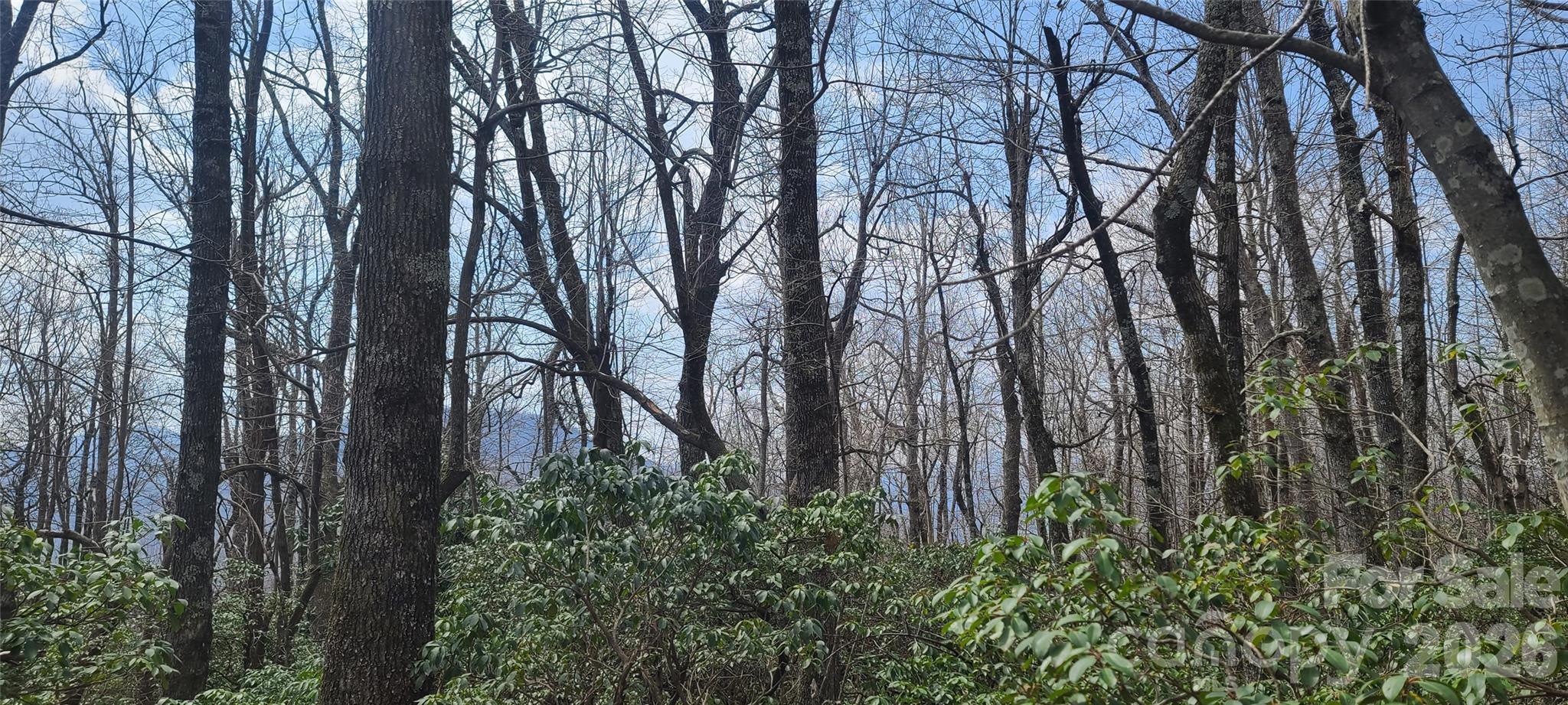 102 High Cliffs Trail Black Mountain NC 28711