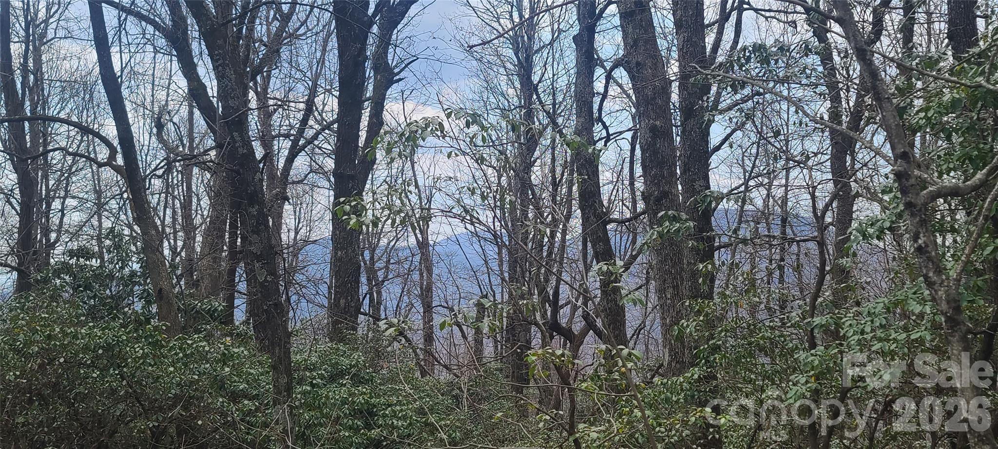 102 High Cliffs Trail Black Mountain NC 28711