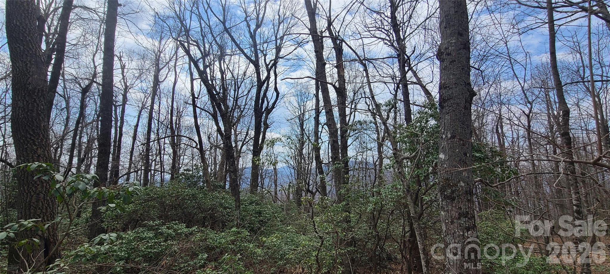 102 High Cliffs Trail Black Mountain NC 28711