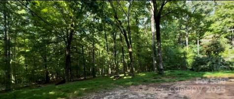 1402 Bloomsberry Lane Waxhaw NC 28173